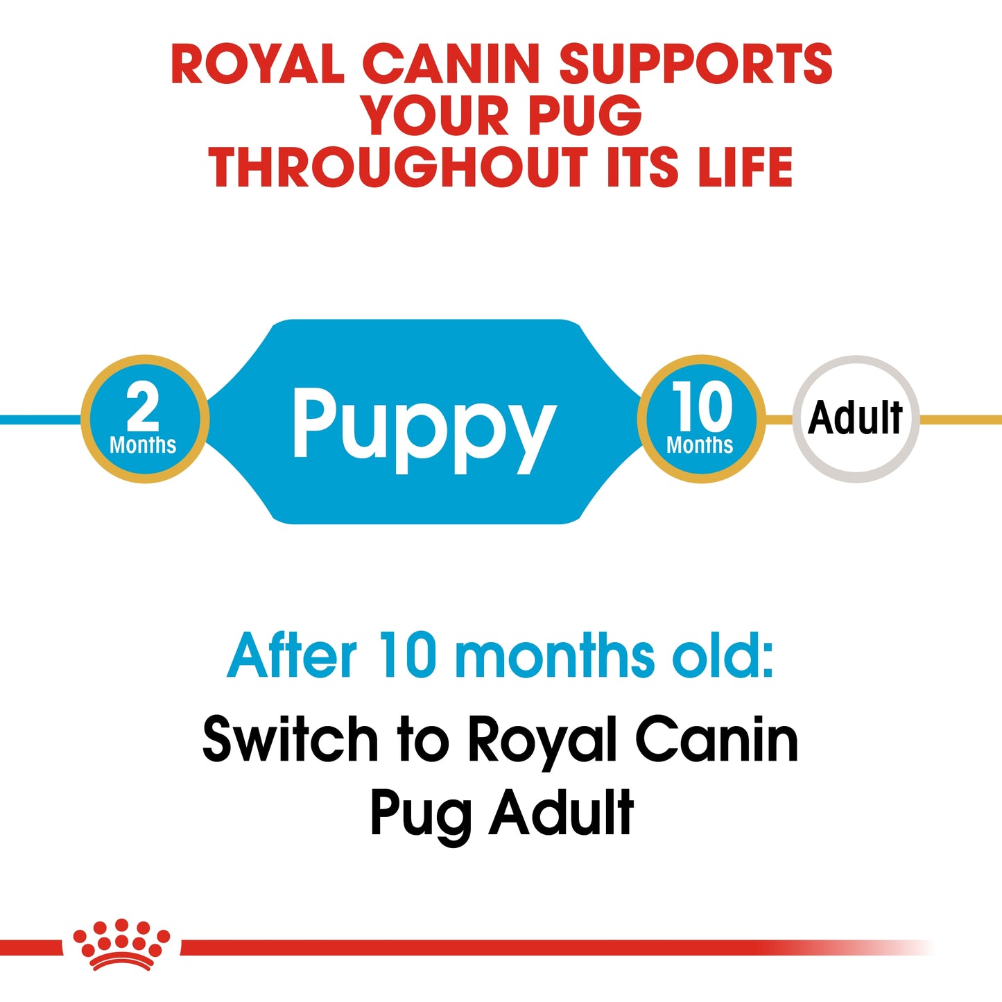 Royal Canin 1.5 kg Breed Health Nutrition Pug Puppy