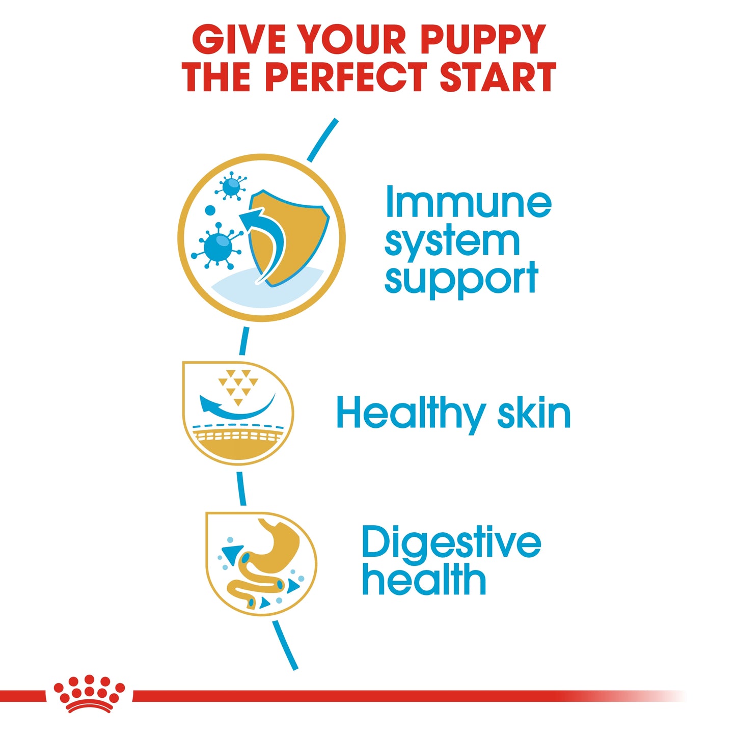 Royal Canin 1.5 kg Breed Health Nutrition Pug Puppy