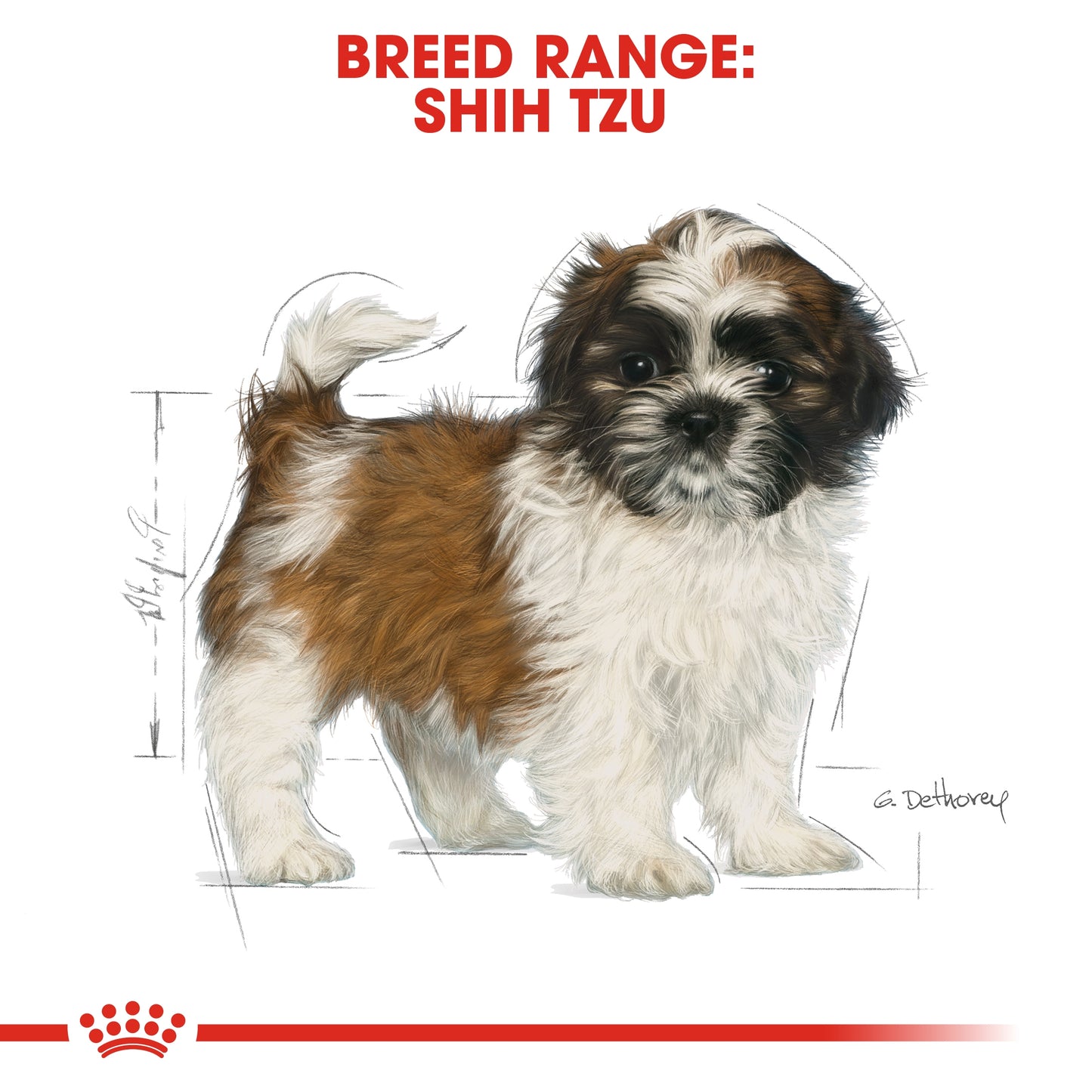 Royal Canin 1.5 kg Breed Health Nutrition Shih Tzu Puppy