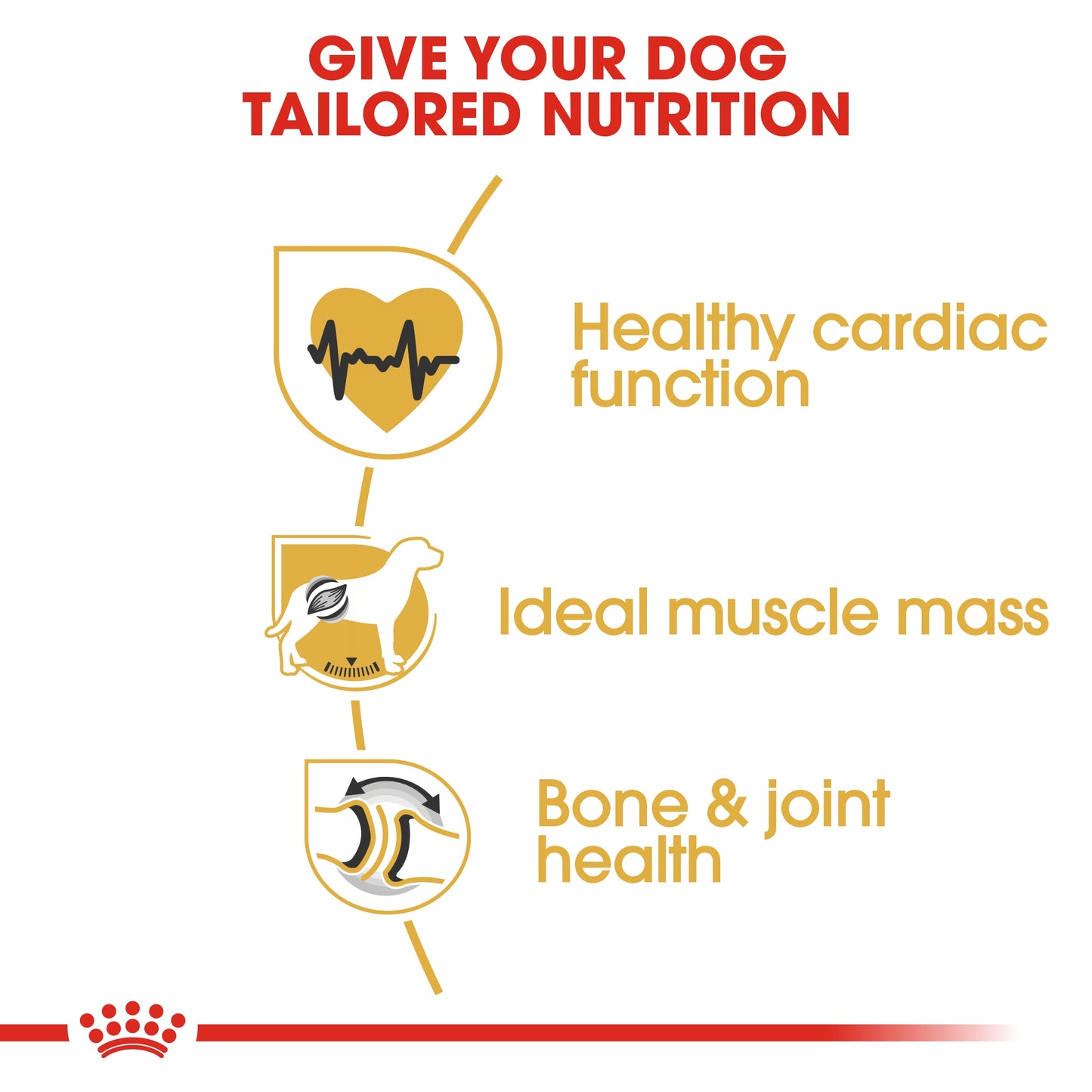 Royal Canin 12 kg Breed Health Nutrition Rottweiler Adult