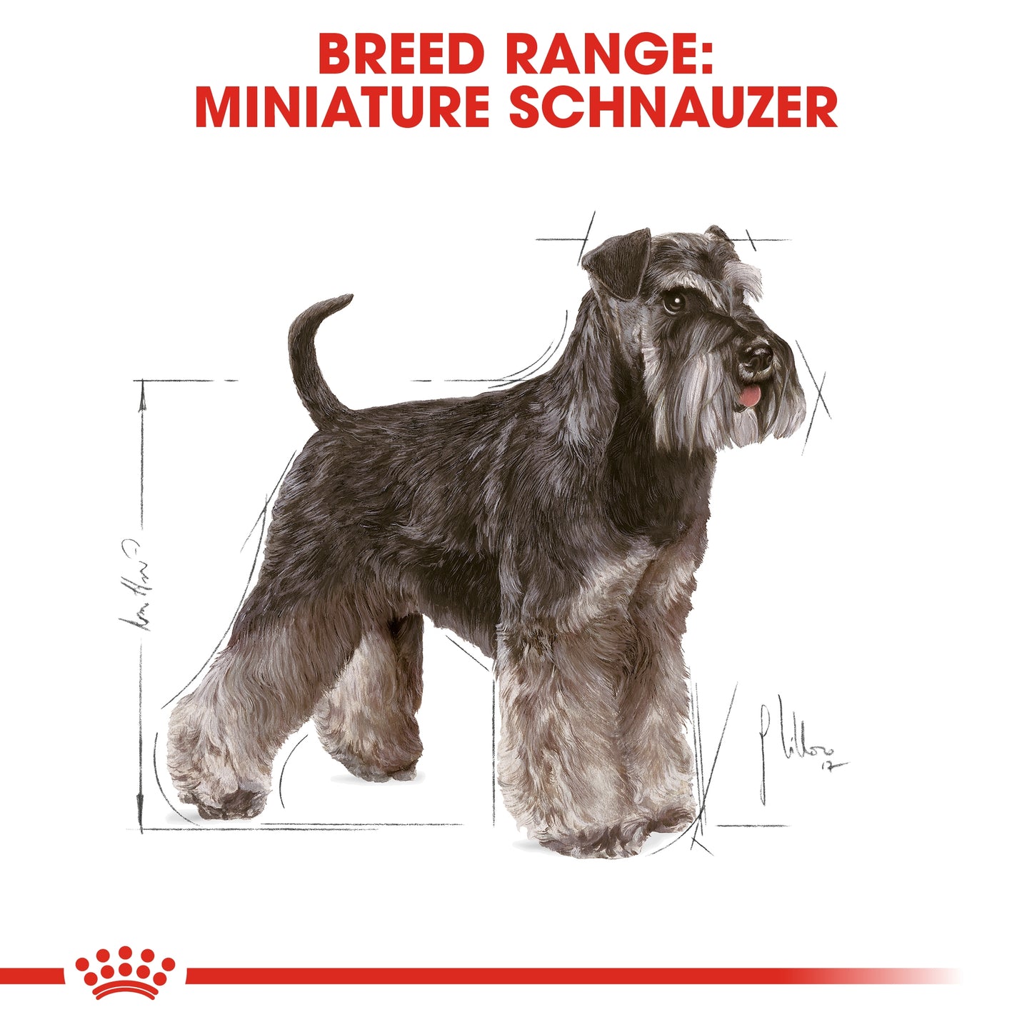 Royal Canin 3 kg Breed Health Nutrition Miniature Schnauzer Adult