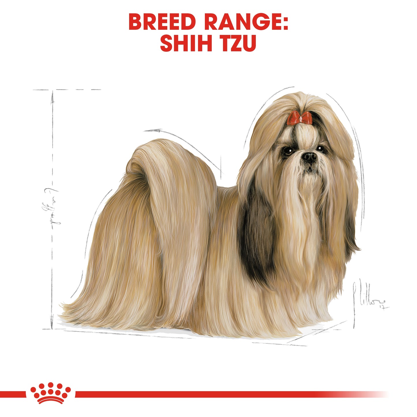 Royal Canin 1.5 kg Breed Health Nutrition Shih Tzu Adult