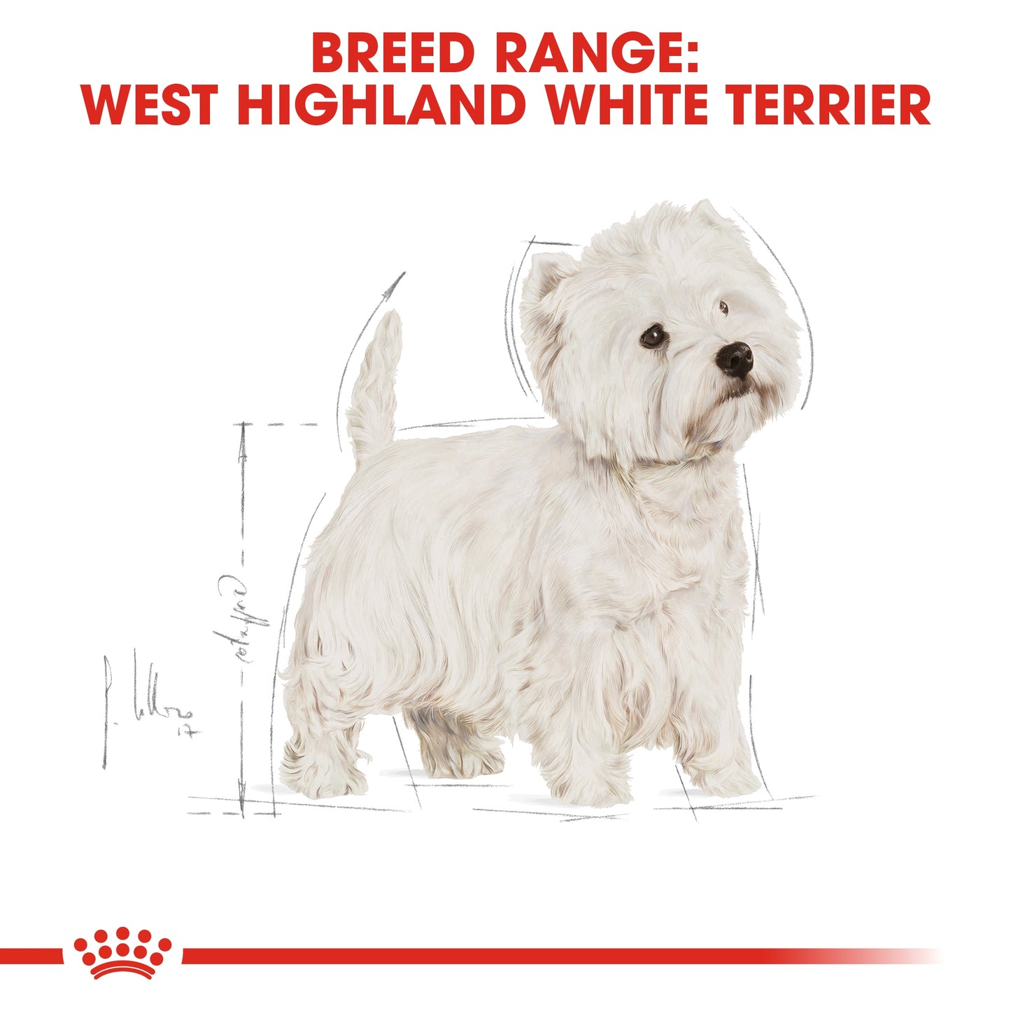 Royal Canin 3 kg Breed Health Nutrition Westie Adult