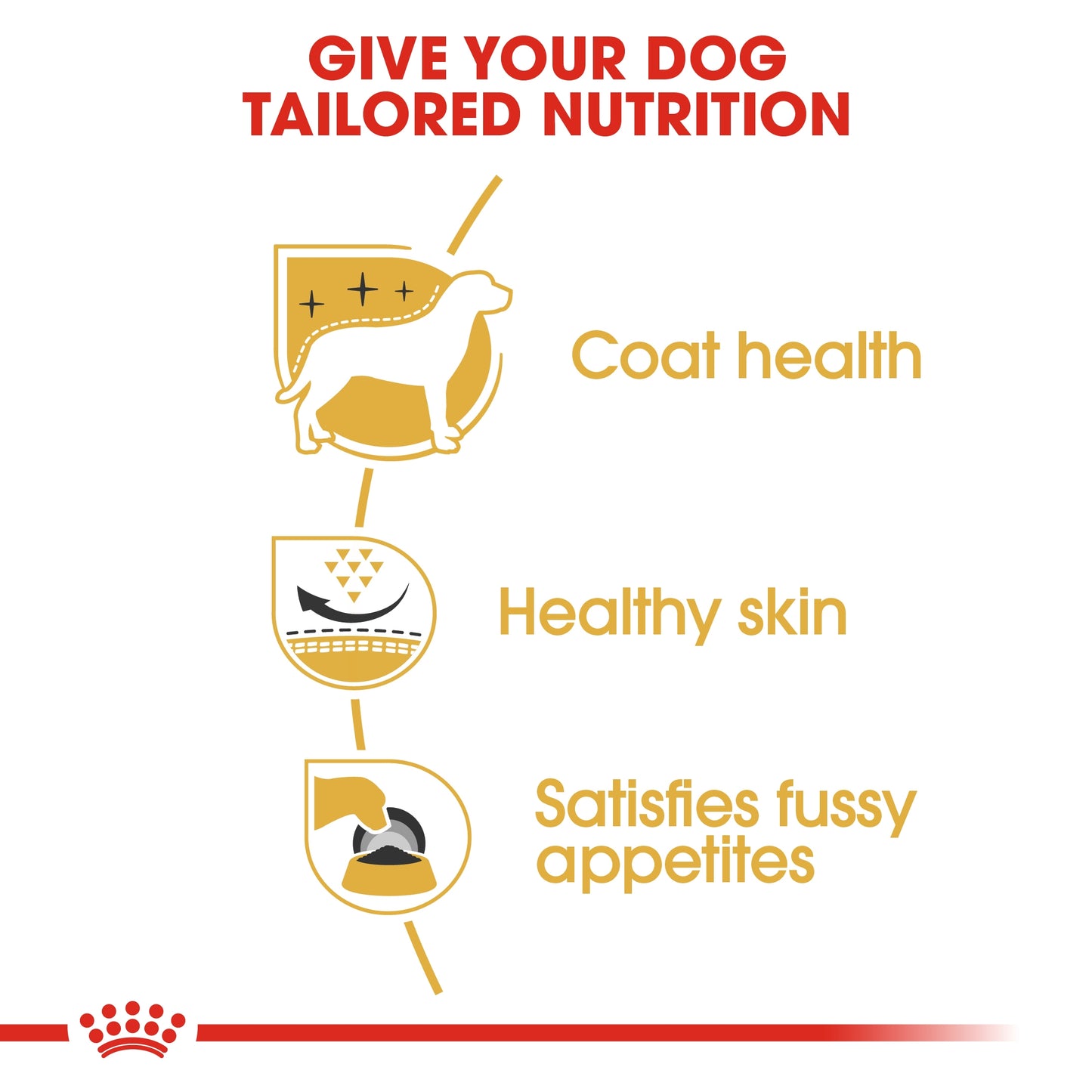 Royal Canin Breed Health Nutrition Westie Adult 3 kg