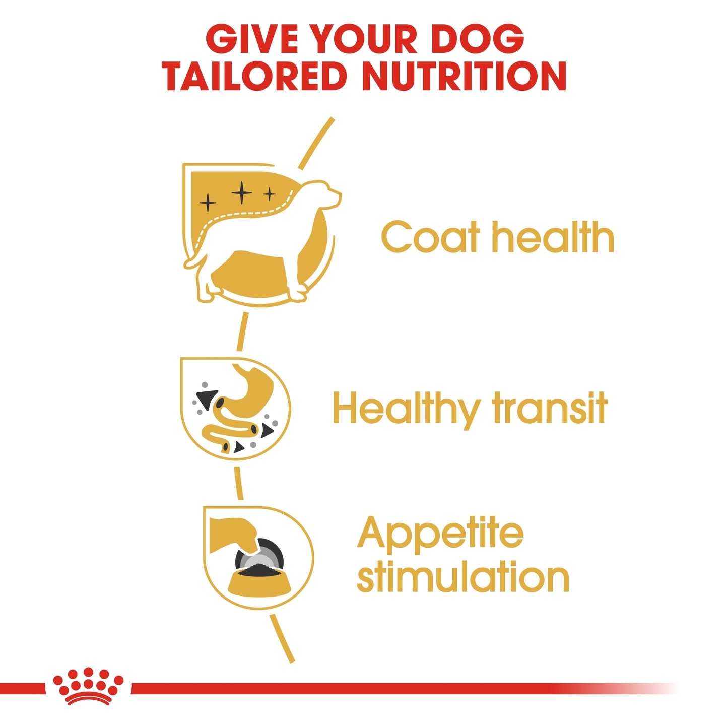 Royal Canin Breed Health Nutrition Chihuahua Adult (Wet Food Pouches) 12 x 85 g