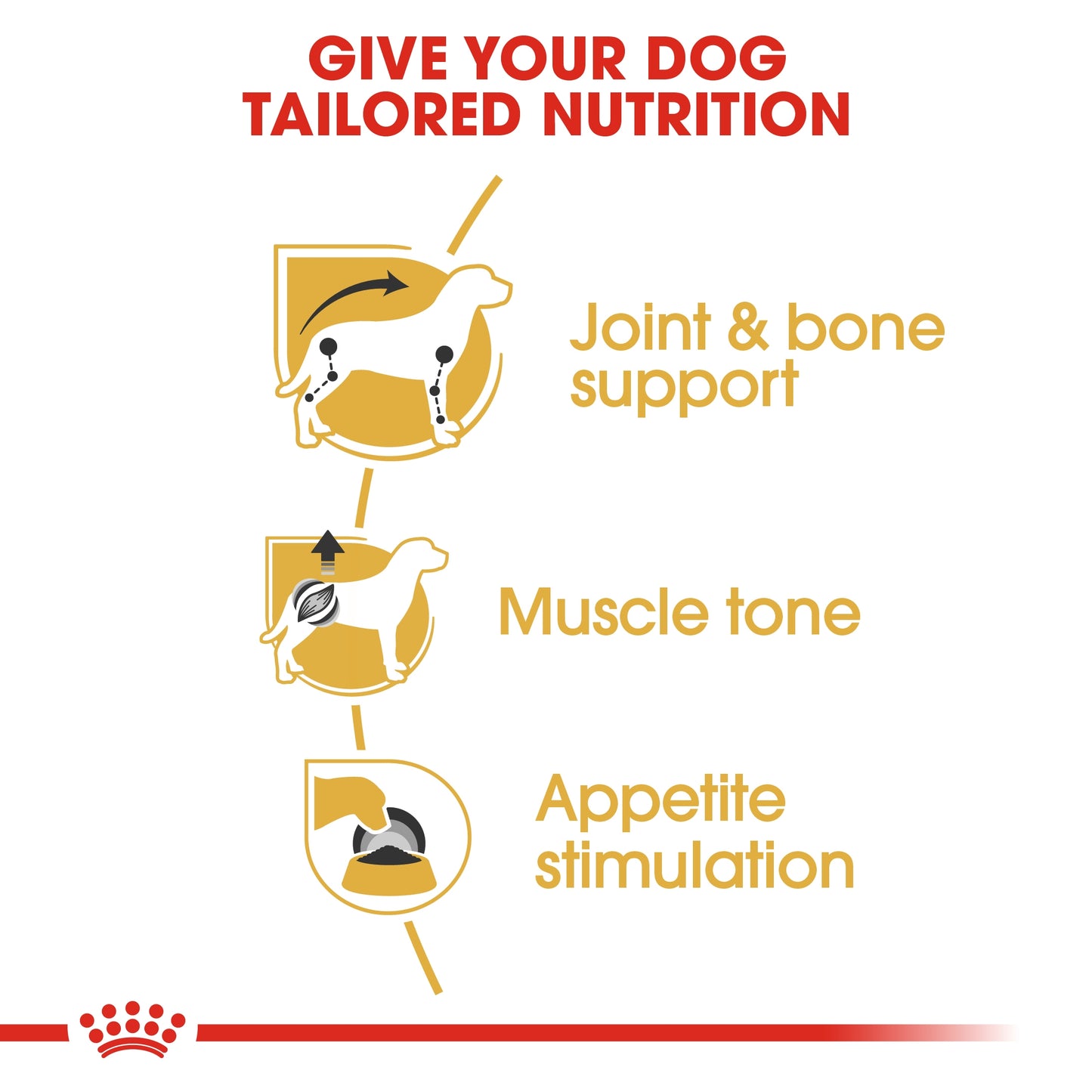 Royal Canin 12 x 85 gm Breed Health Nutrition Dachshund Adult (Wet Food Pouches)