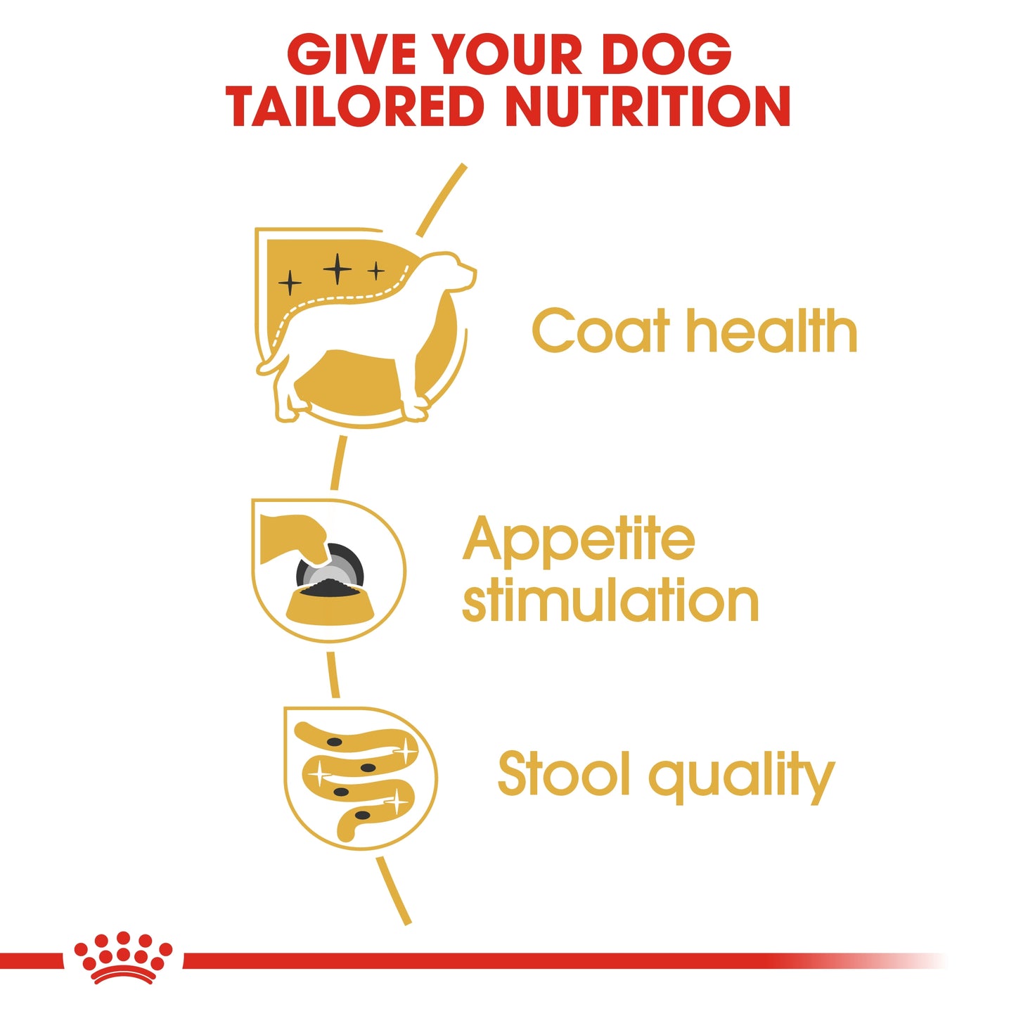 Royal Canin 12 x 85 gm Breed Health Nutrition Yorkshire Adult (Wet Food Pouches)