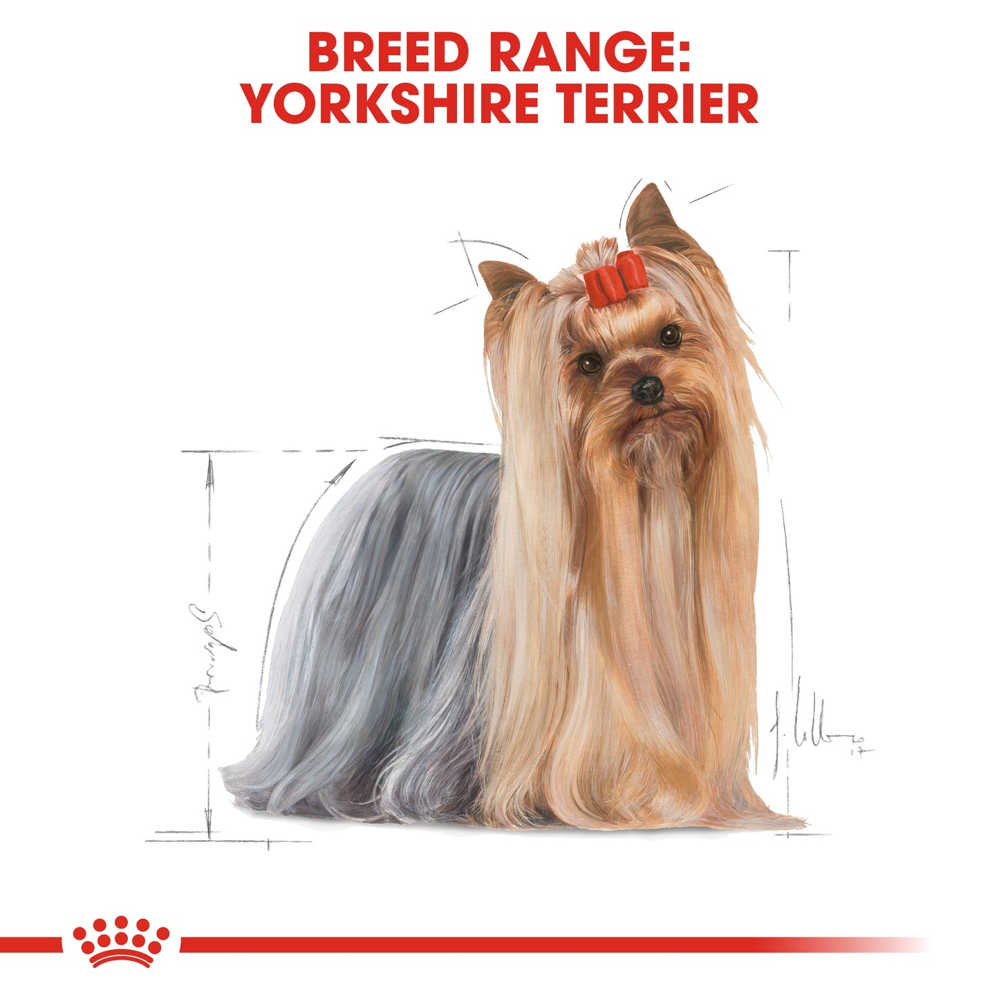 Royal Canin 1.5 kg Breed Health Nutrition Yorkshire Adult