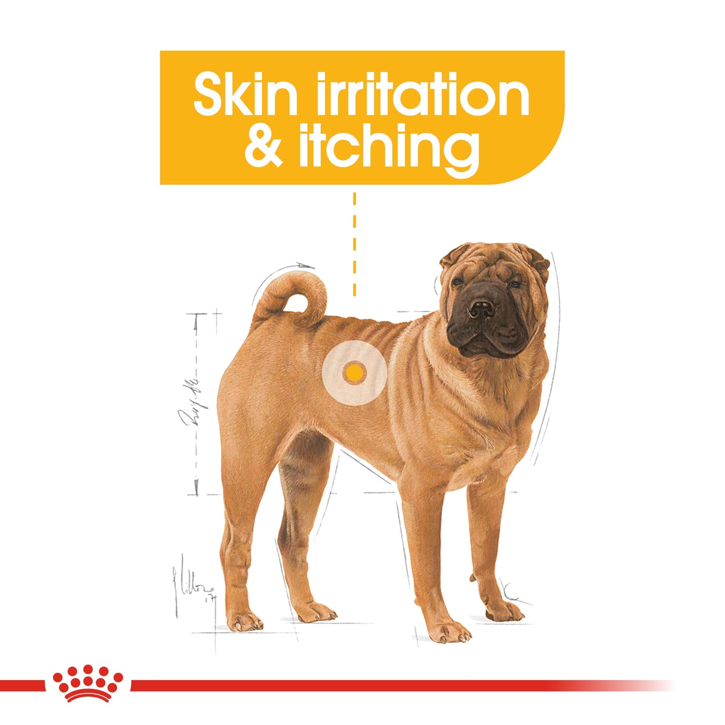Royal Canin Canine Care Nutrition Medium Dermacomfort 3 kg