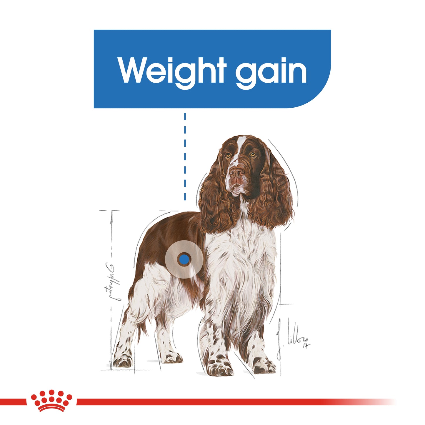 Royal Canin 3 kg Canine Care Nutrition Medium Light Weight Care