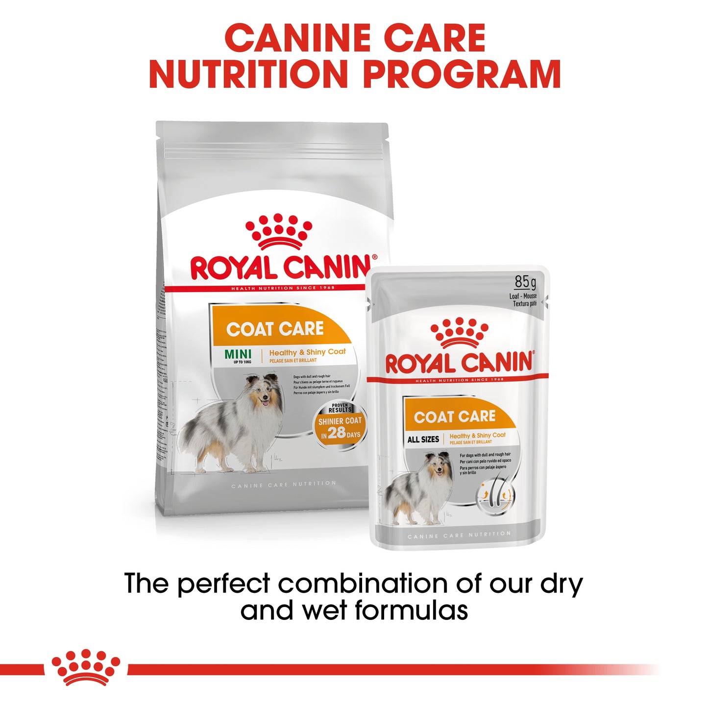 Royal Canin 12 x 85 gm Canine Care Nutrition Coat Care (Wet Food Pouches)