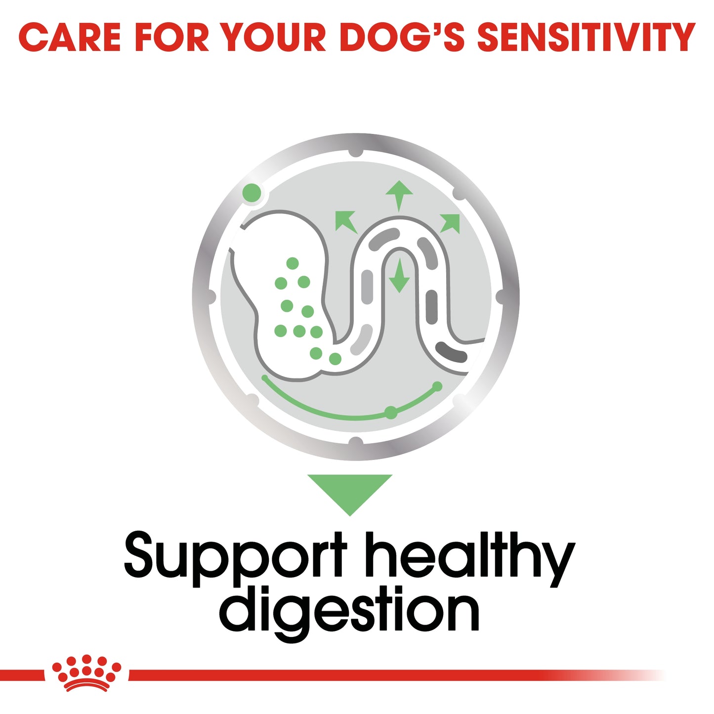 Royal Canin 12 x 85 gm Canine Care Nutrition Digestive Care (Wet Food Pouches)