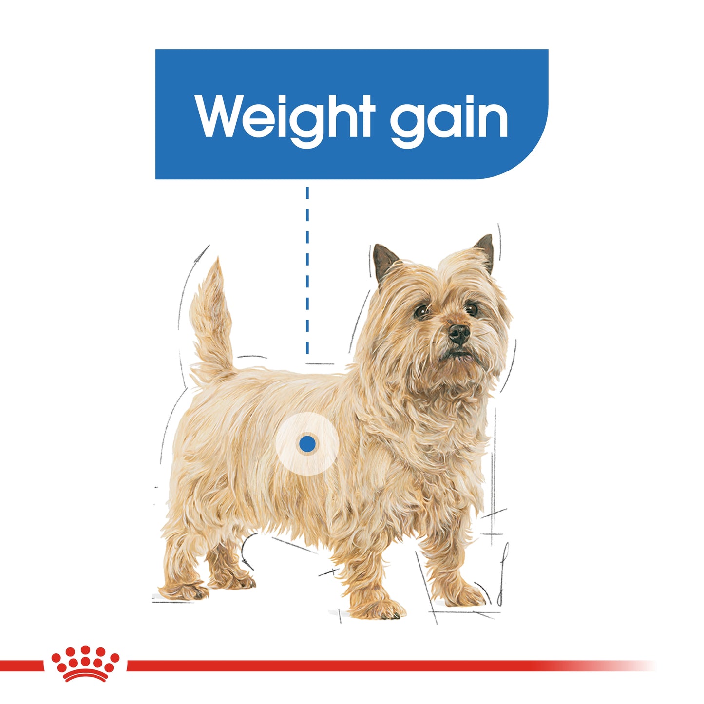 Royal Canin 12 x 85 gm Canine Care Nutrition Light Weight Care (Wet Food Pouches)