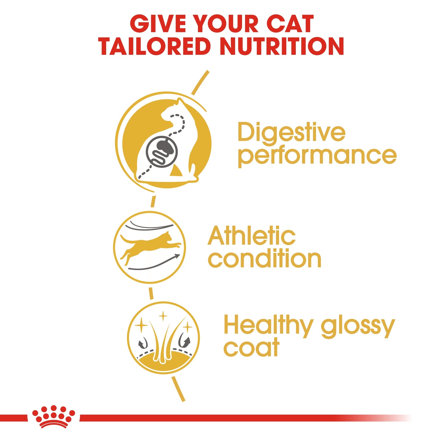 Royal Canin 2 kg Feline Breed Nutrition Bengal Adult