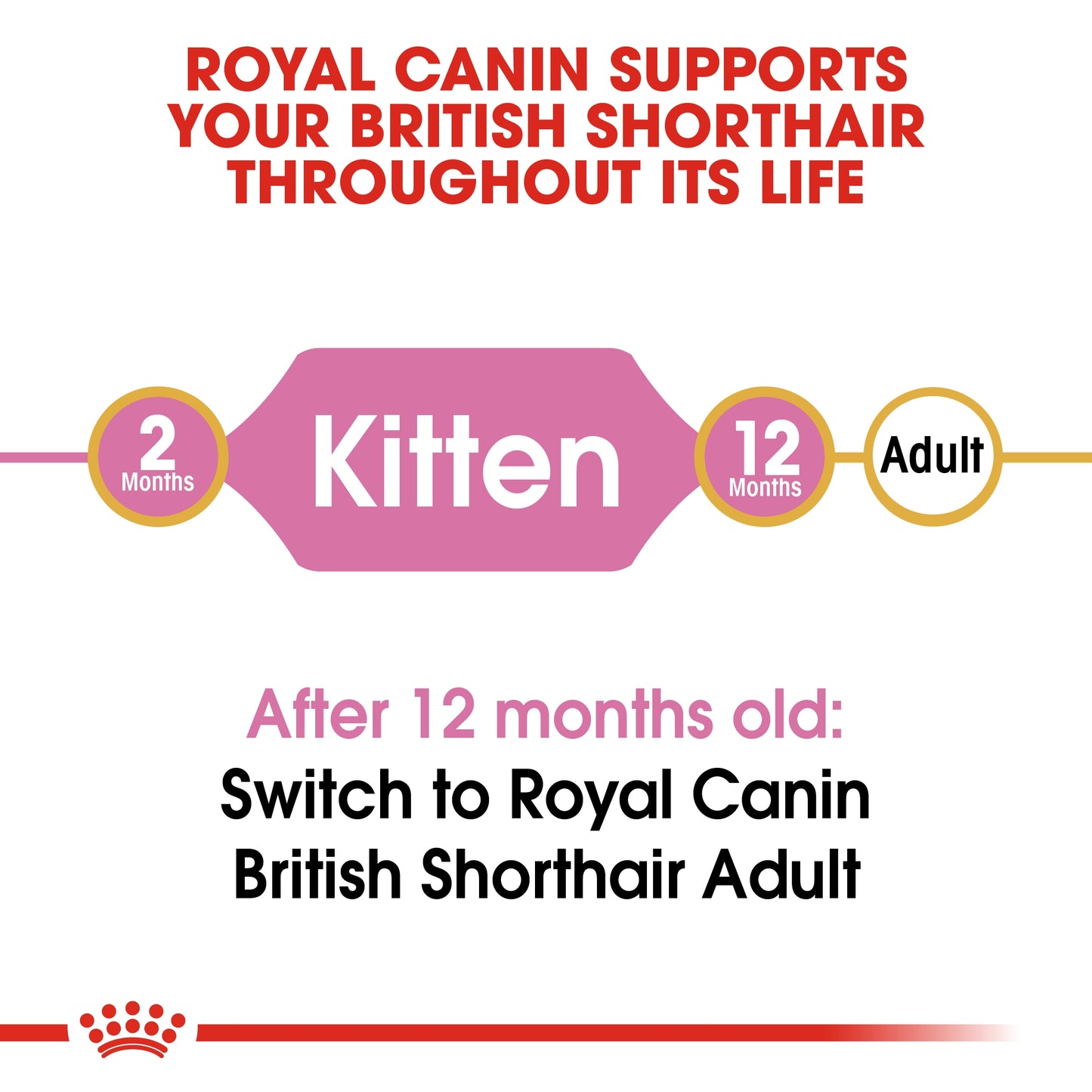 Royal Canin 2 kg Feline Breed Nutrition British Shorthair Kitten