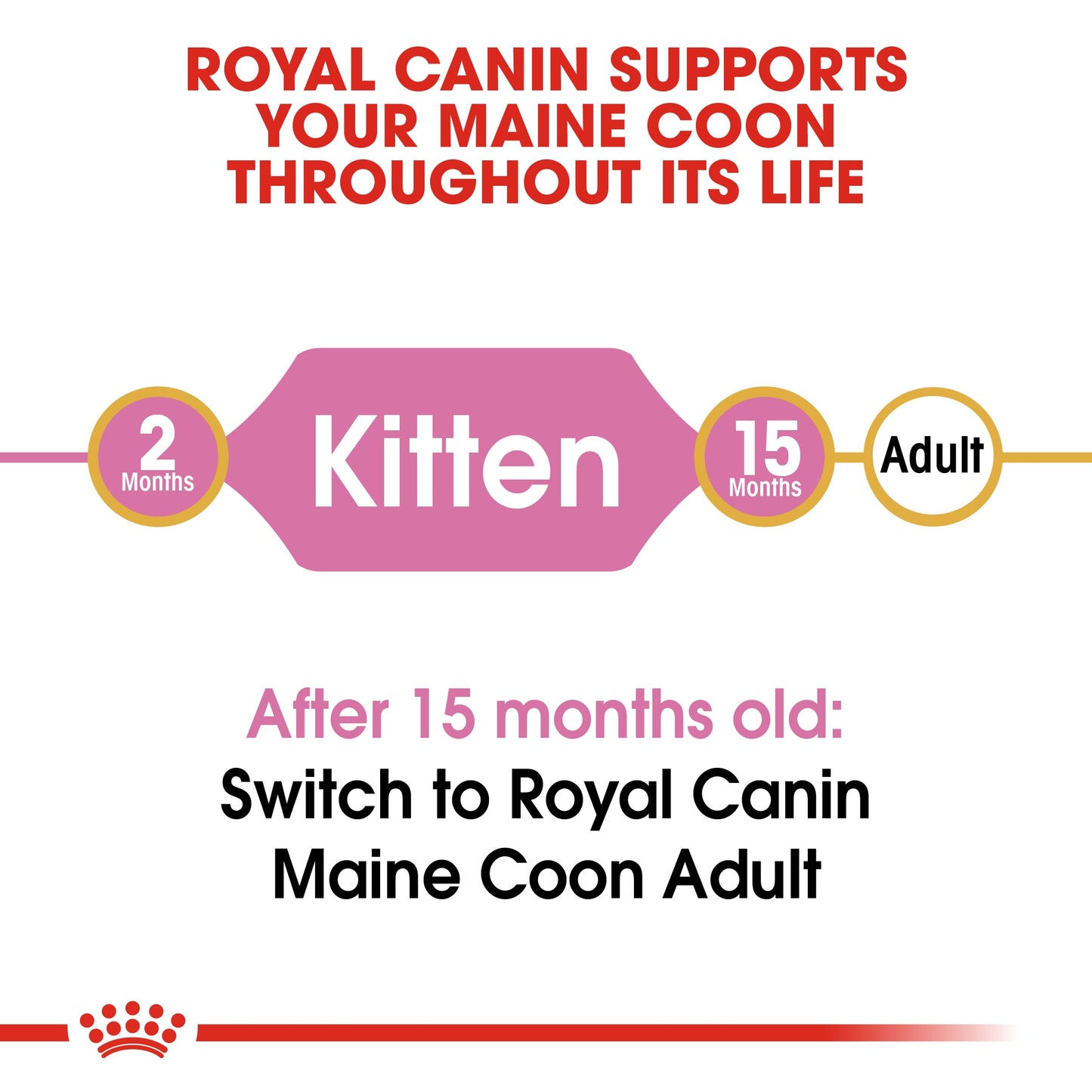 Royal Canin 2 kg Feline Breed Nutrition Maine Coon Kitten