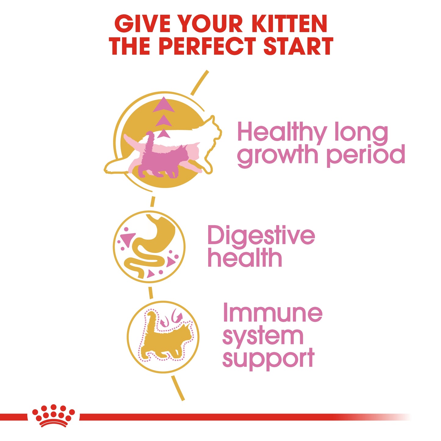Royal Canin 2 kg Feline Breed Nutrition Maine Coon Kitten
