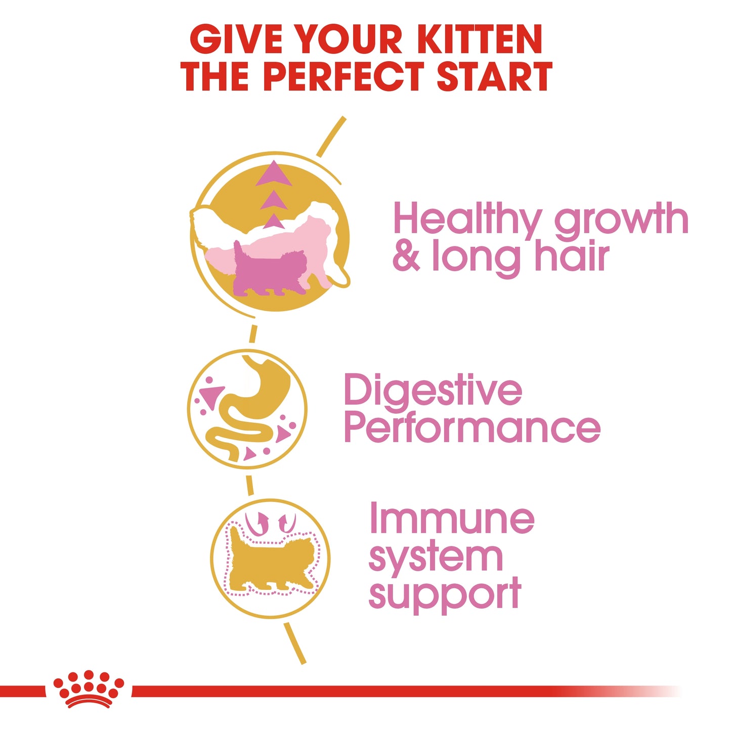 Royal Canin 2 kg Feline Breed Nutrition Persian Kitten