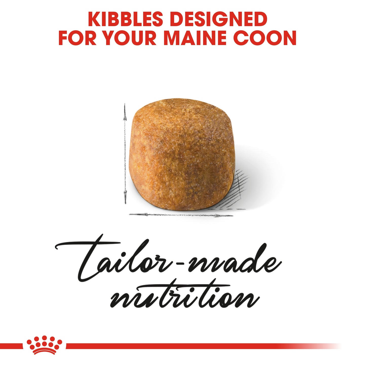 Royal Canin 2 kg Feline Breed Nutrition Maine Coon Adult