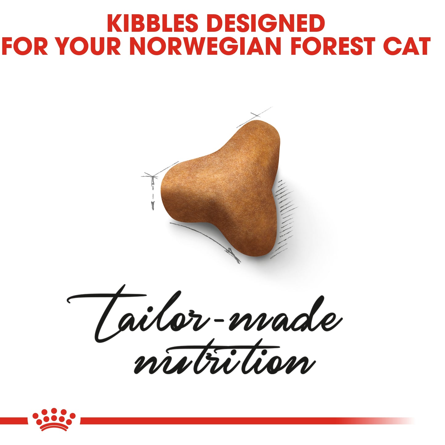 Royal Canin 2 kg Feline Breed Nutrition Norwegian Forest Cat Adult