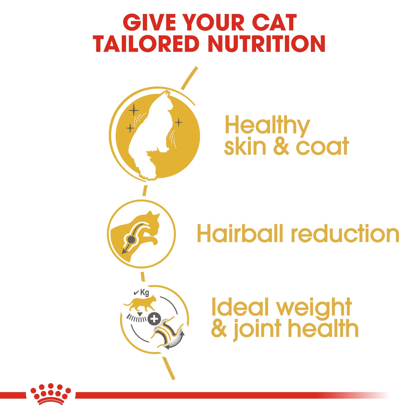 Royal Canin 2 kg Feline Breed Nutrition Norwegian Forest Cat Adult