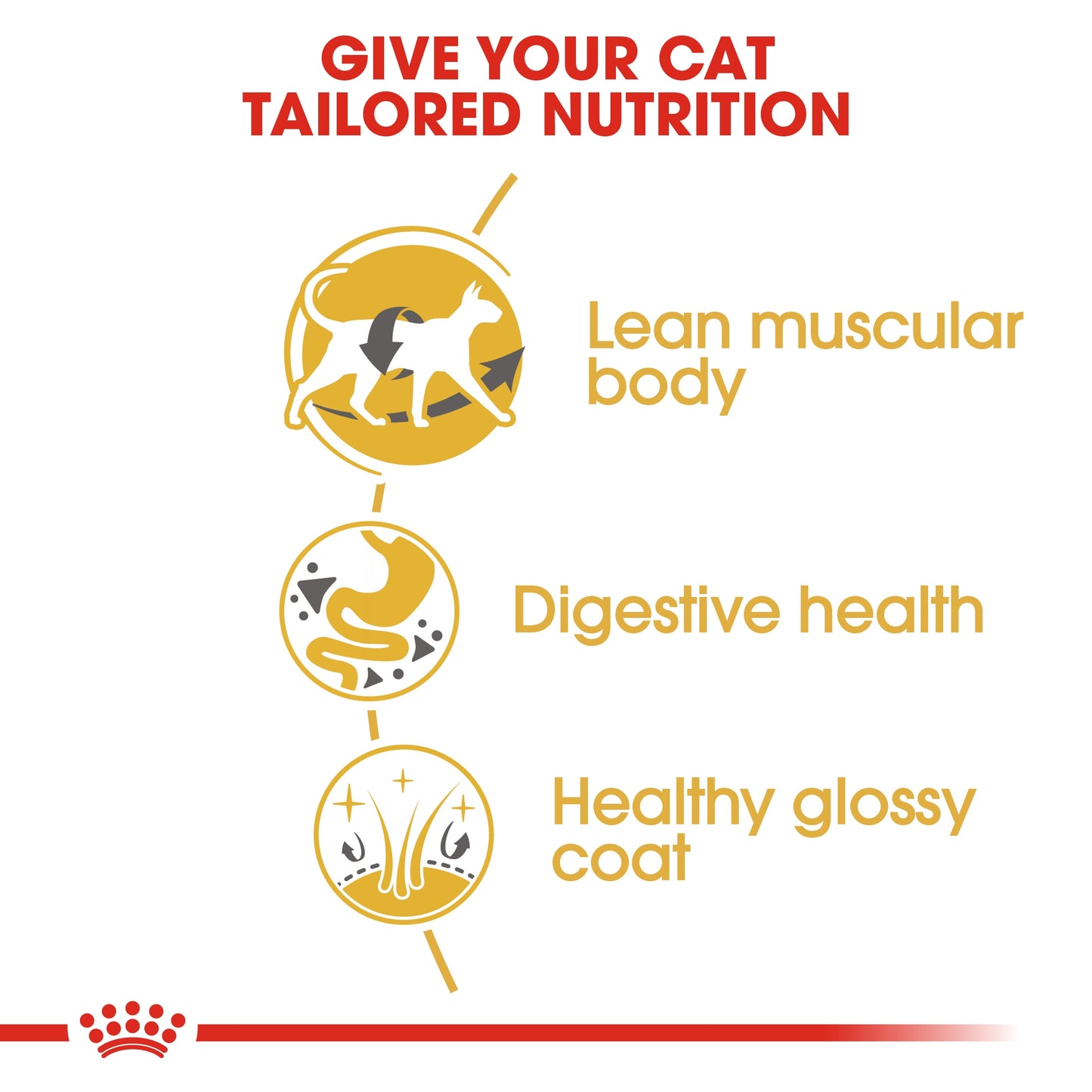 Royal Canin 2 kg Feline Breed Nutrition Siamese Adult