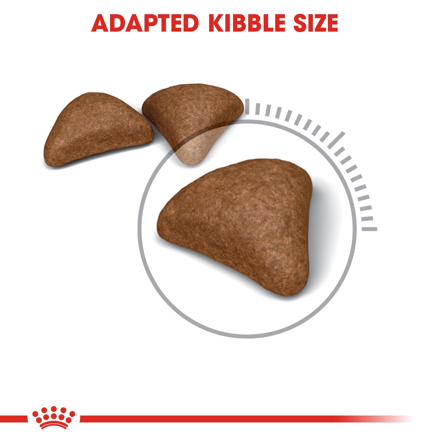 Royal Canin Feline Care Nutrition Hairball Care 4 kg