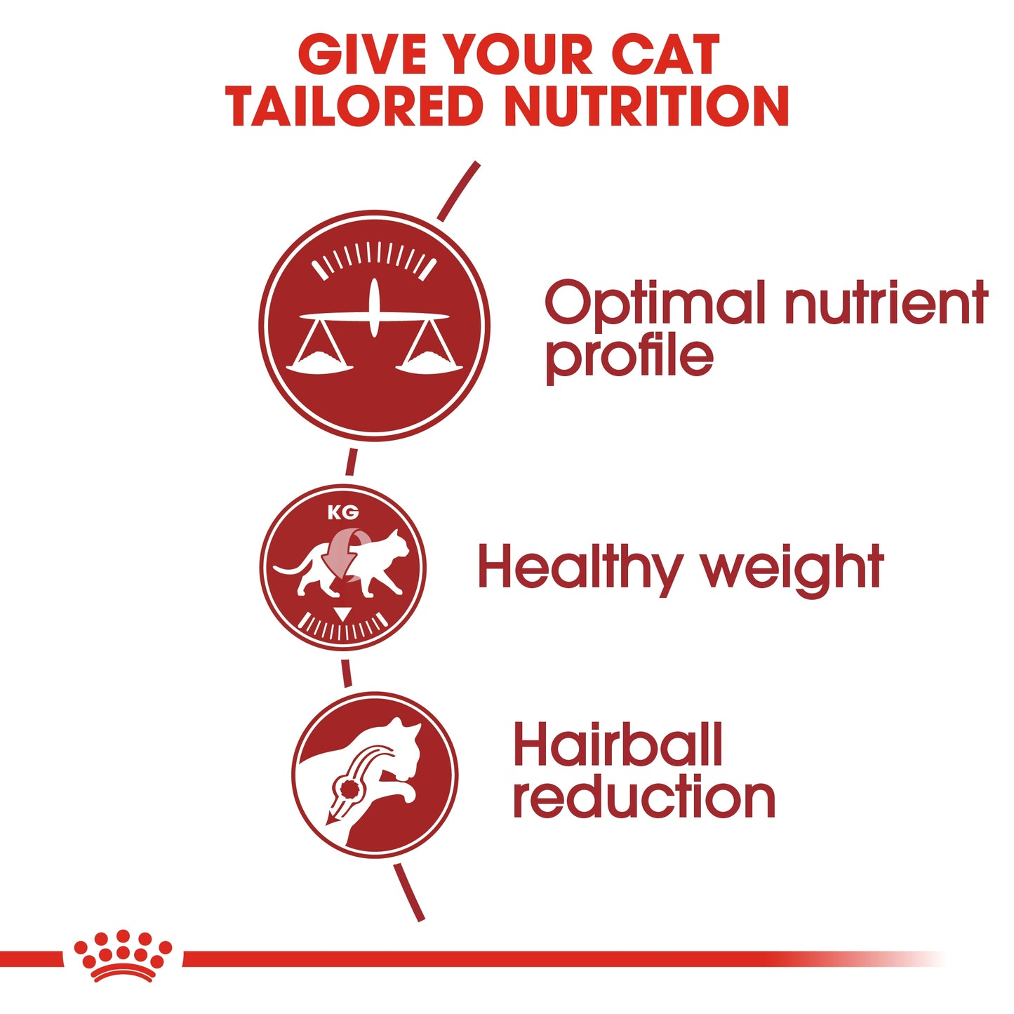 Royal Canin 10 kg Feline Health Nutrition Fit 32