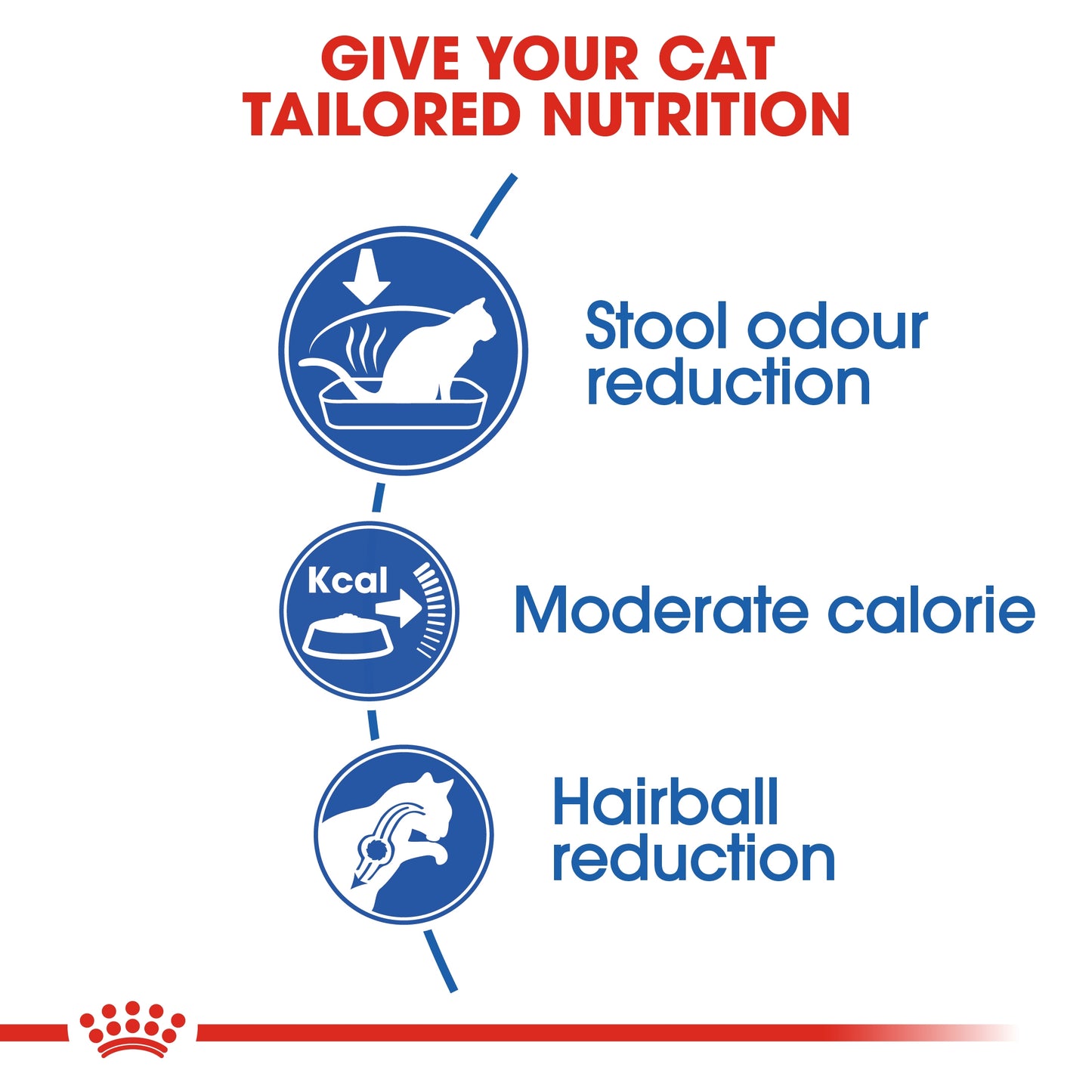 10 kg Royal Canin Nutrition Indoor 10kg + FREE Pet Carrier