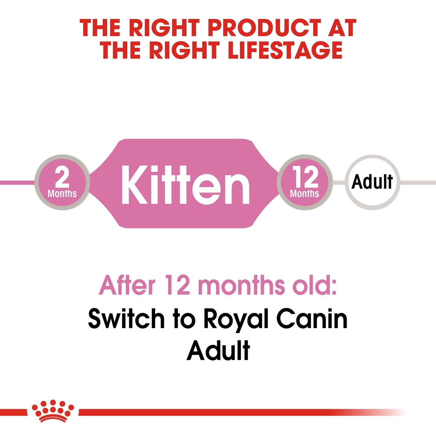 Royal Canin 12 x 85 gm Feline Health Nutrition Kitten Jelly (Wet Food Pouches)