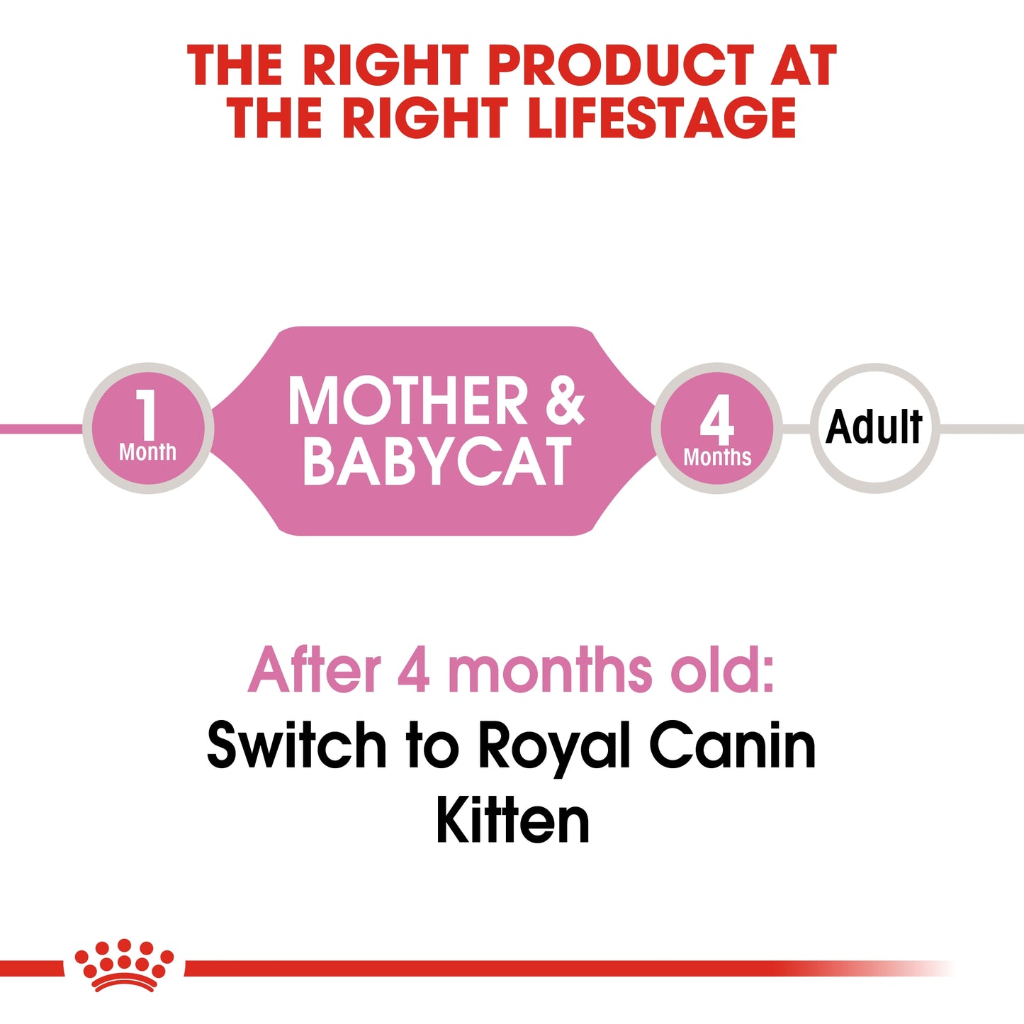 Royal Canin 12 x 195 gm Feline Health Nutrition Mother & Babycat Mousse (Wet Food Cans)