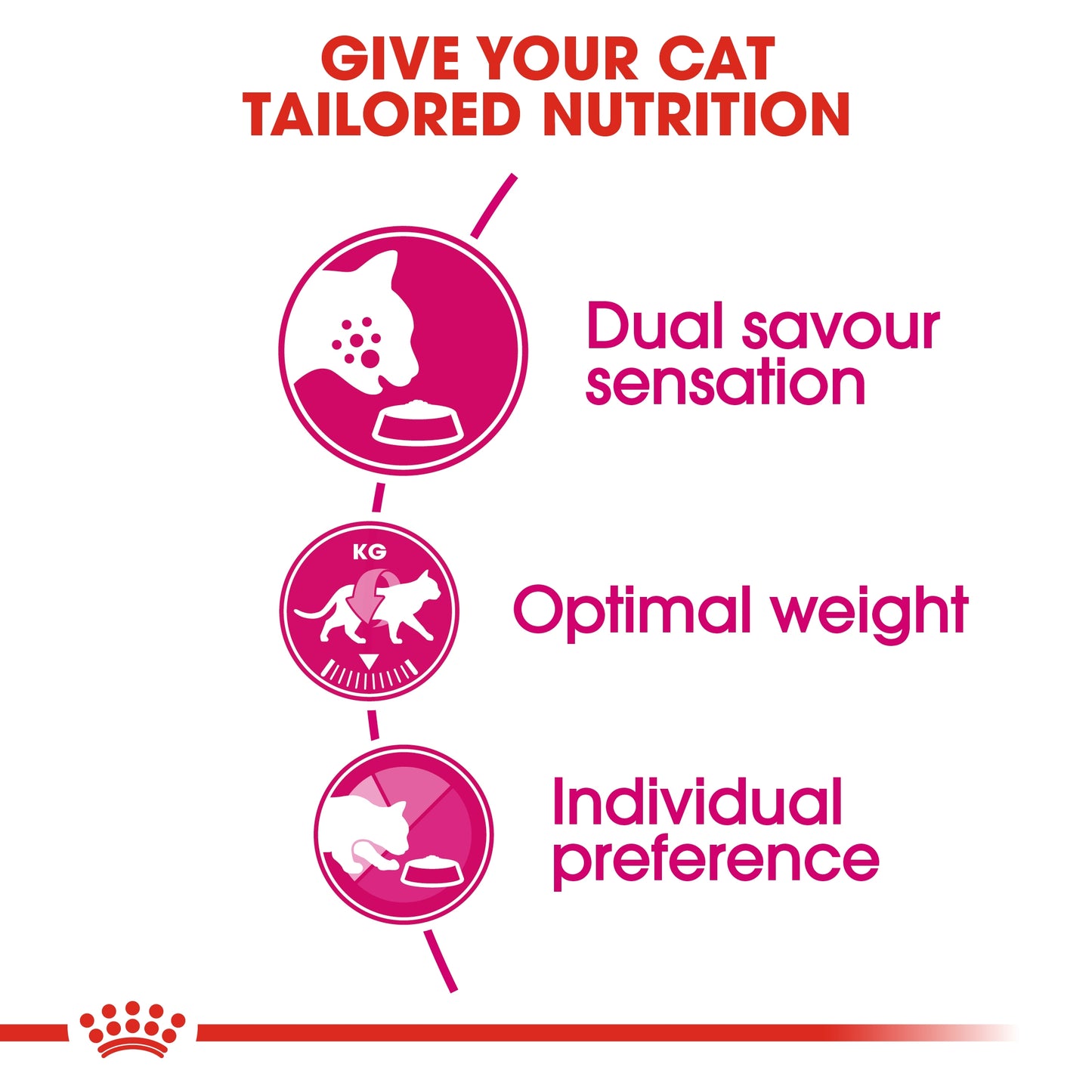 Royal Canin 4 kg Feline Health Nutrition Exigent Savour
