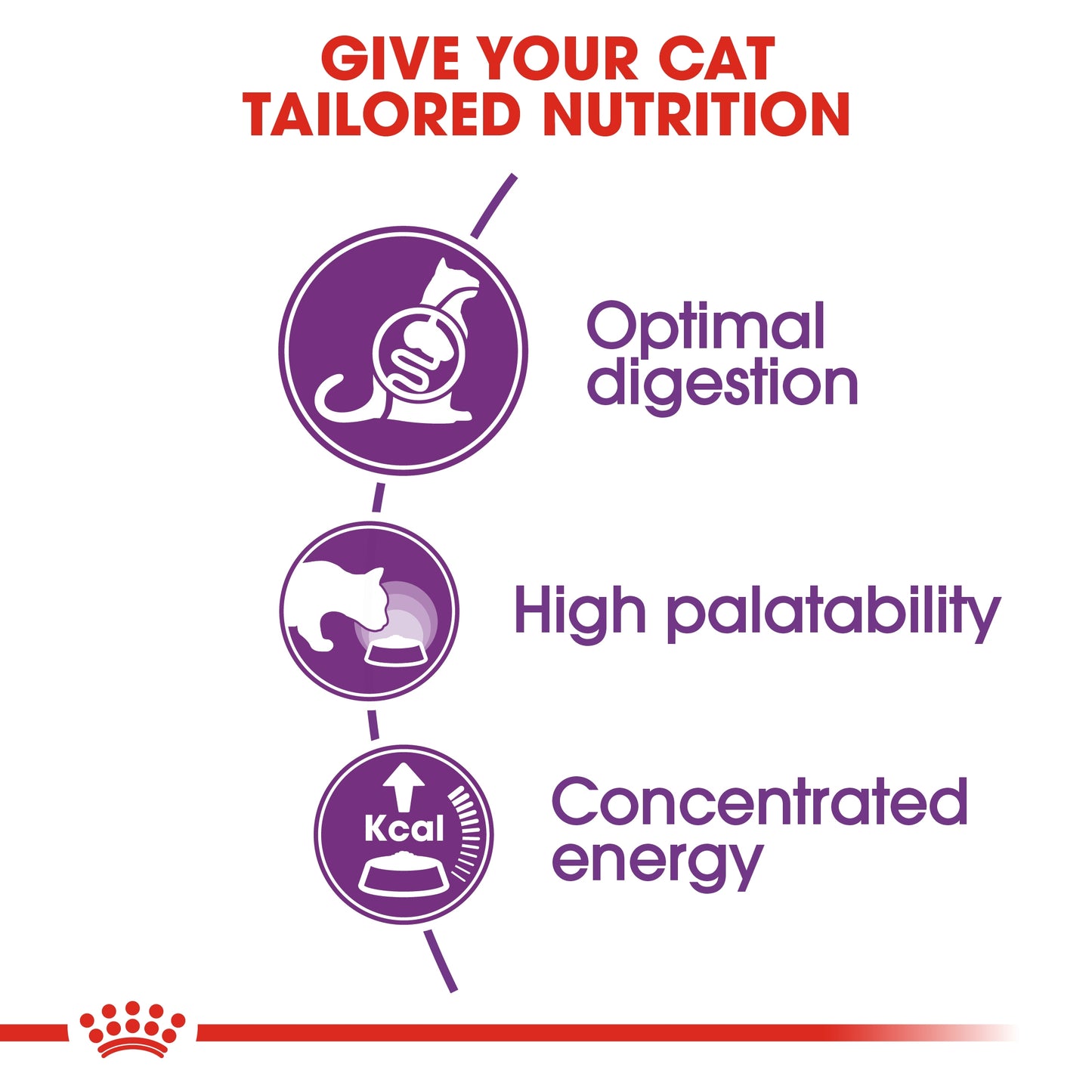 Royal Canin 2 kg Feline Health Nutrition Sensible