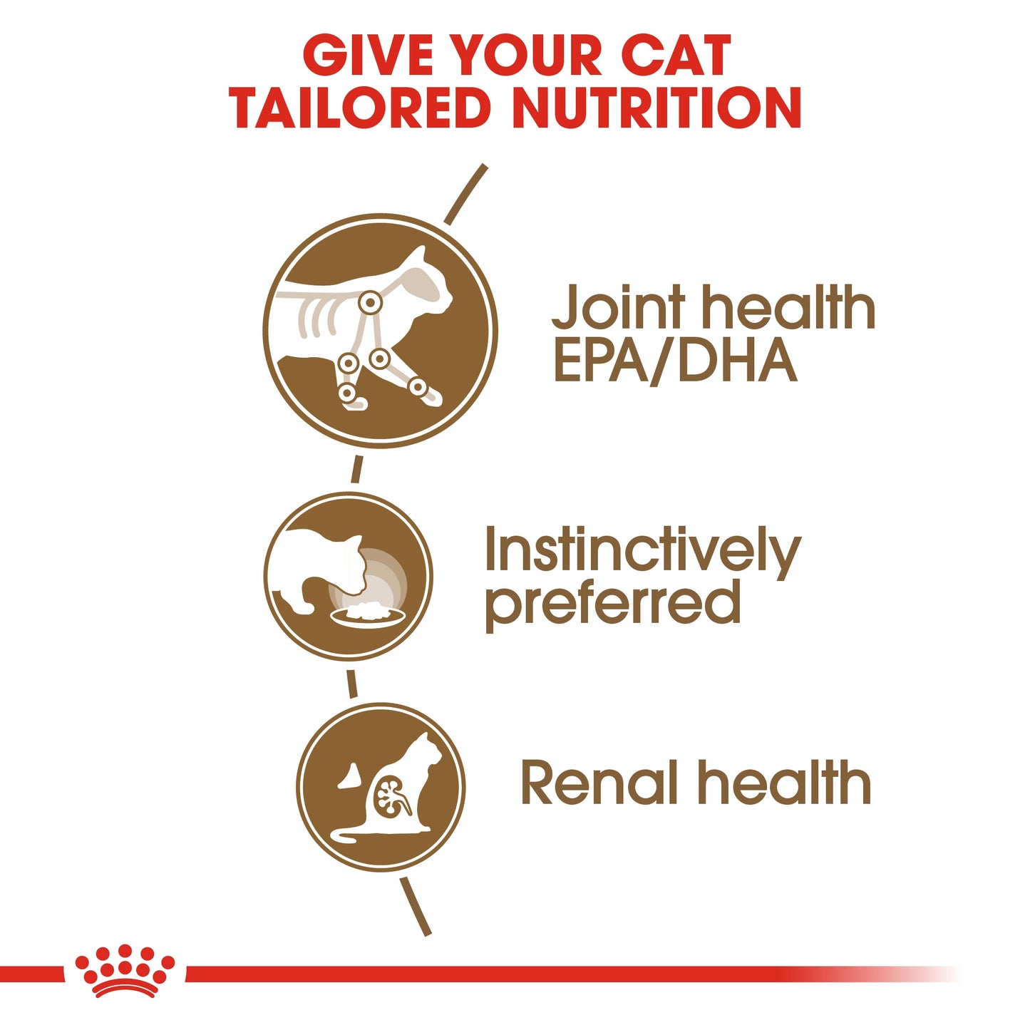 Royal Canin Feline Health Nutrition Ageing 12+ Gravy (Wet Food Pouches) 12 x 85 g
