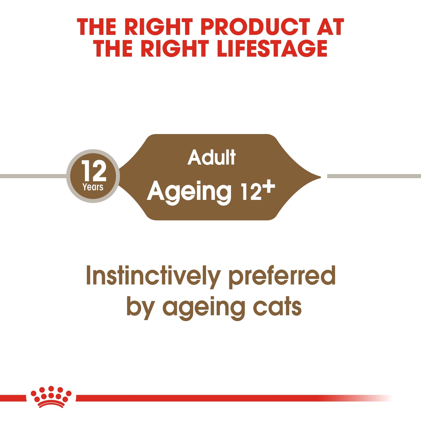 Royal Canin 12 x 85 gm Feline Health Nutrition Ageing 12+ Jelly (Wet Food Pouches)