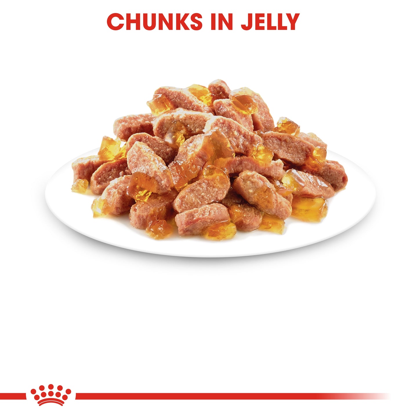 Royal Canin 12 x 85 gm Feline Health Nutrition Kitten Jelly (Wet Food Pouches)