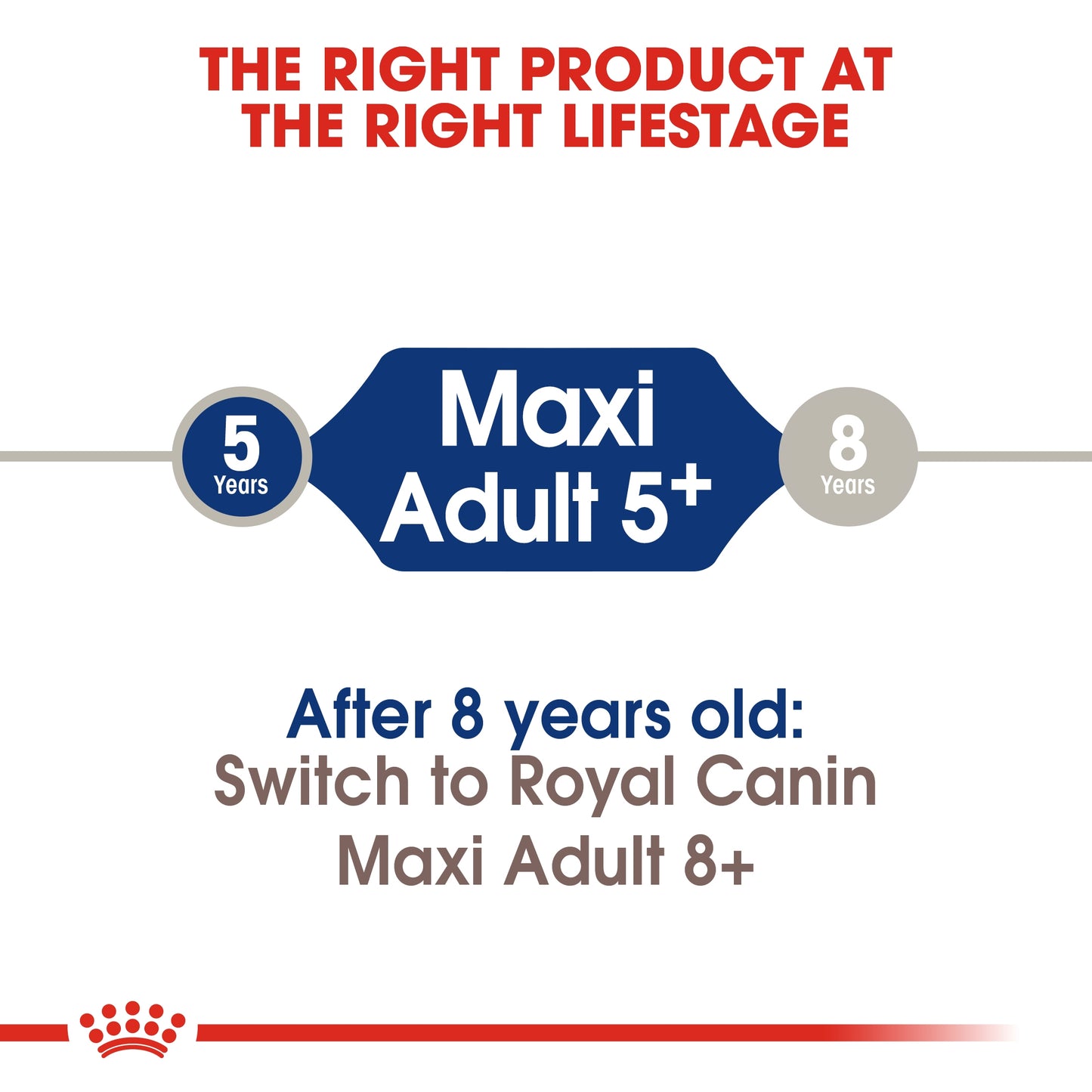 Royal Canin 15 kg Size Health Nutrition Maxi Adult 5+