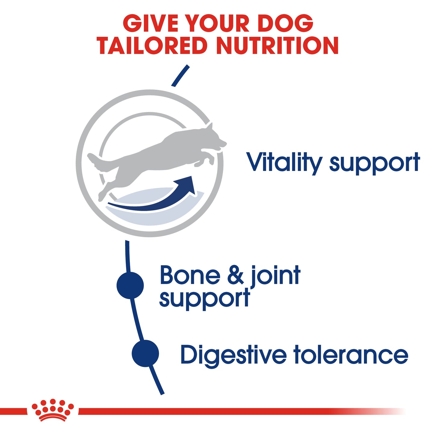 Royal Canin 15 kg Size Health Nutrition Maxi Adult 5+