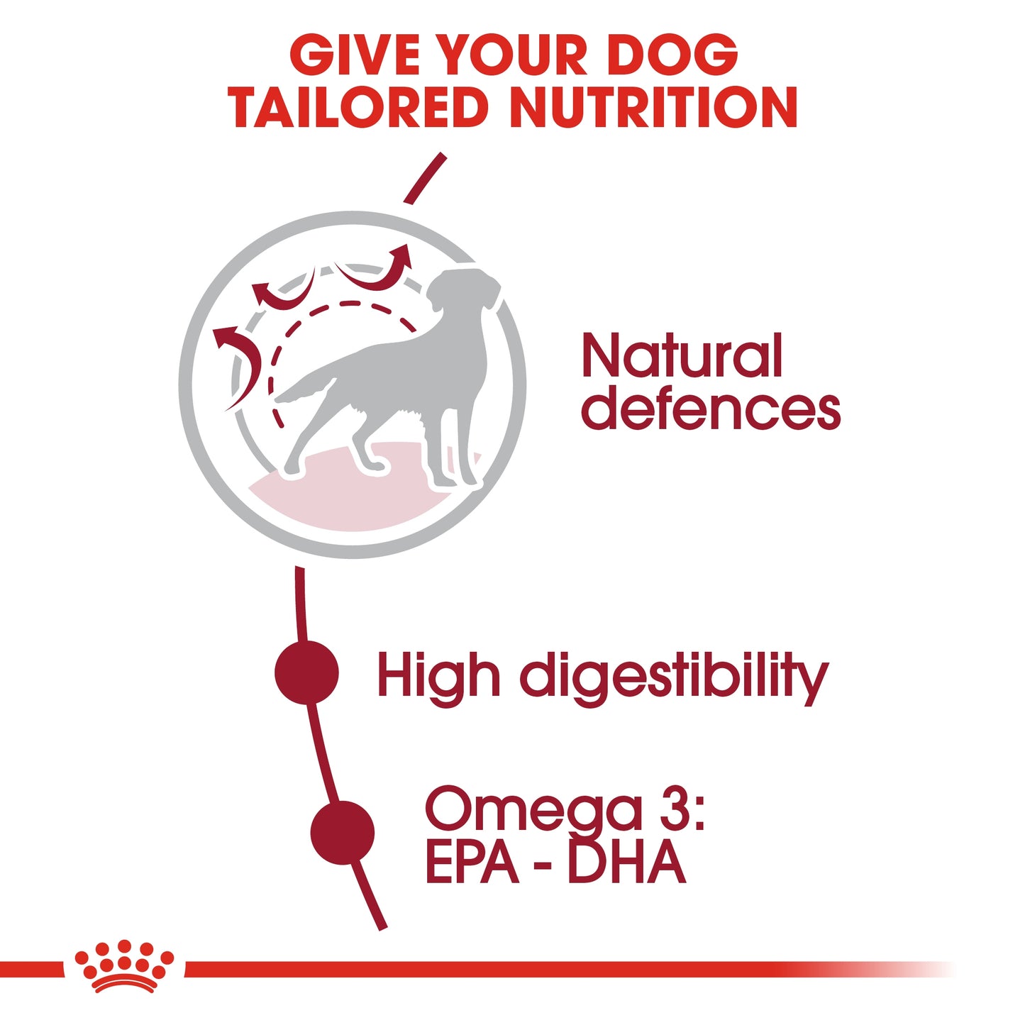 Royal Canin Size Health Nutrition Medium Adult 10 kg