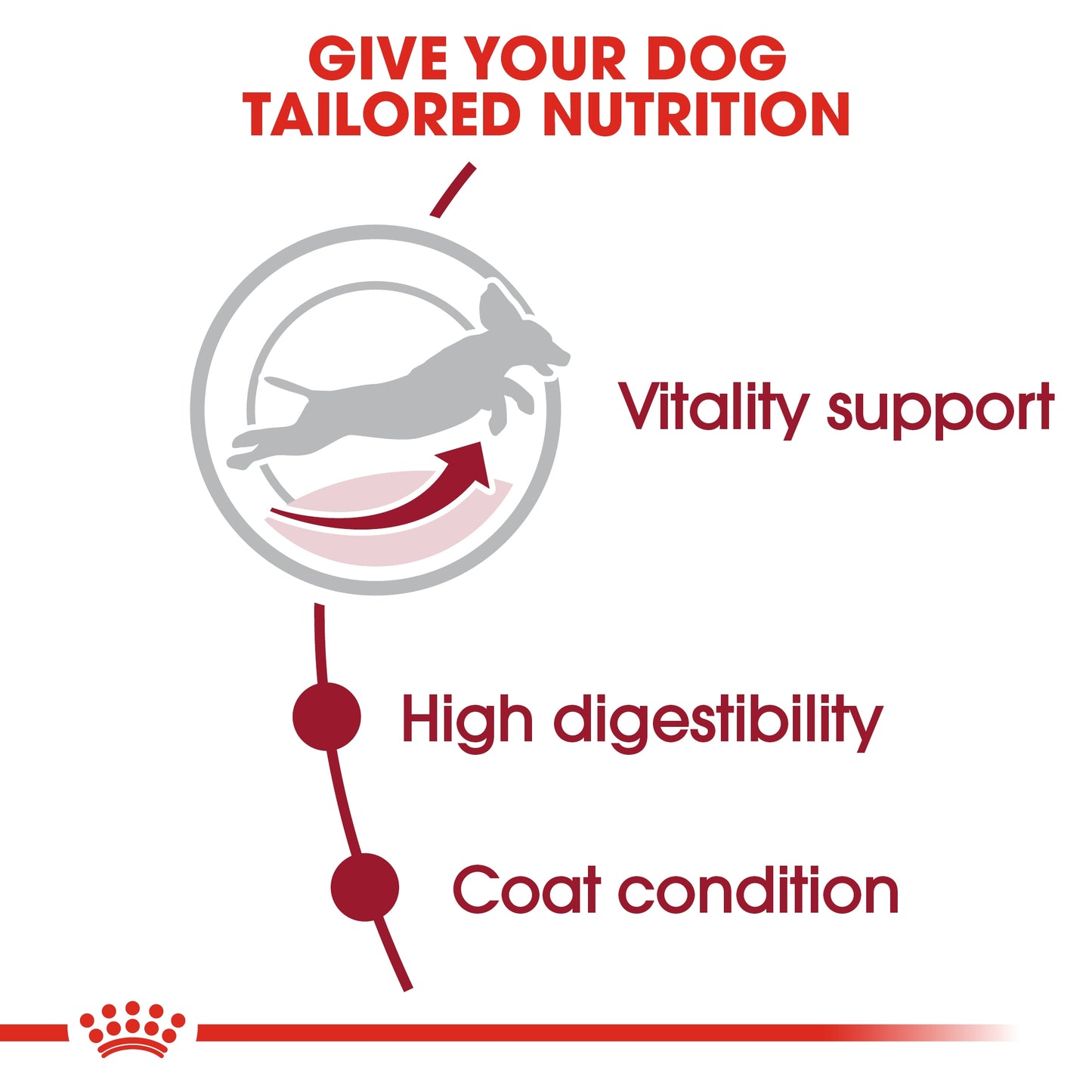 Royal Canin Size Health Nutrition Medium Adult 7+ 10 kg