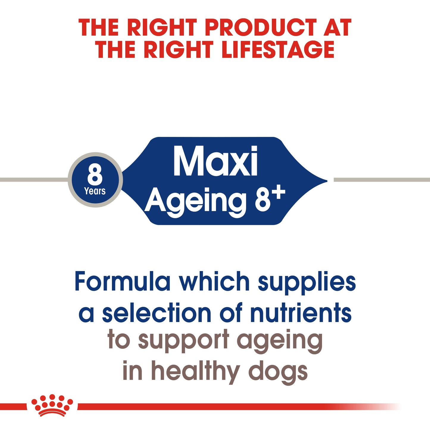 Royal Canin 15 kg Size Health Nutrition Maxi Ageing 8+