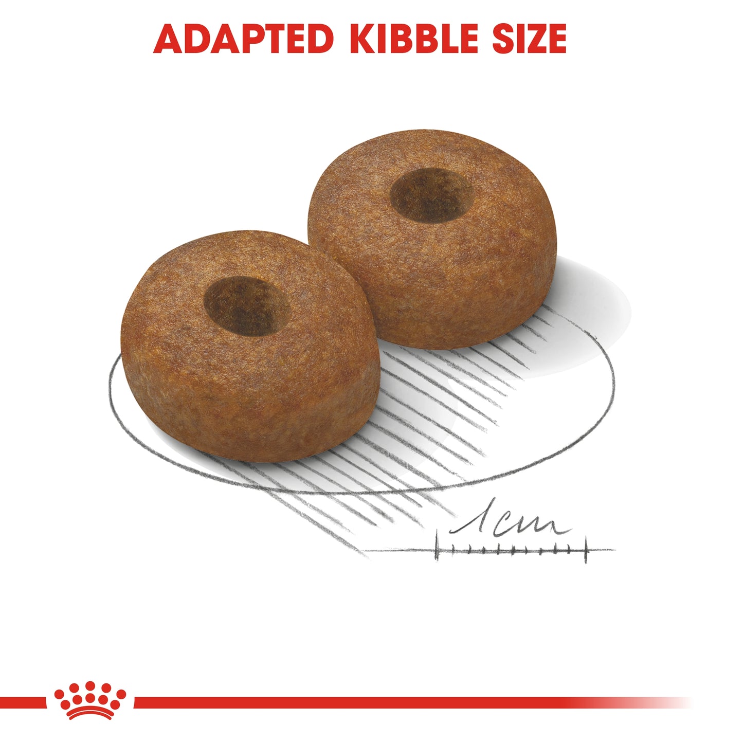 Royal Canin 15 kg Size Health Nutrition Maxi Ageing 8+