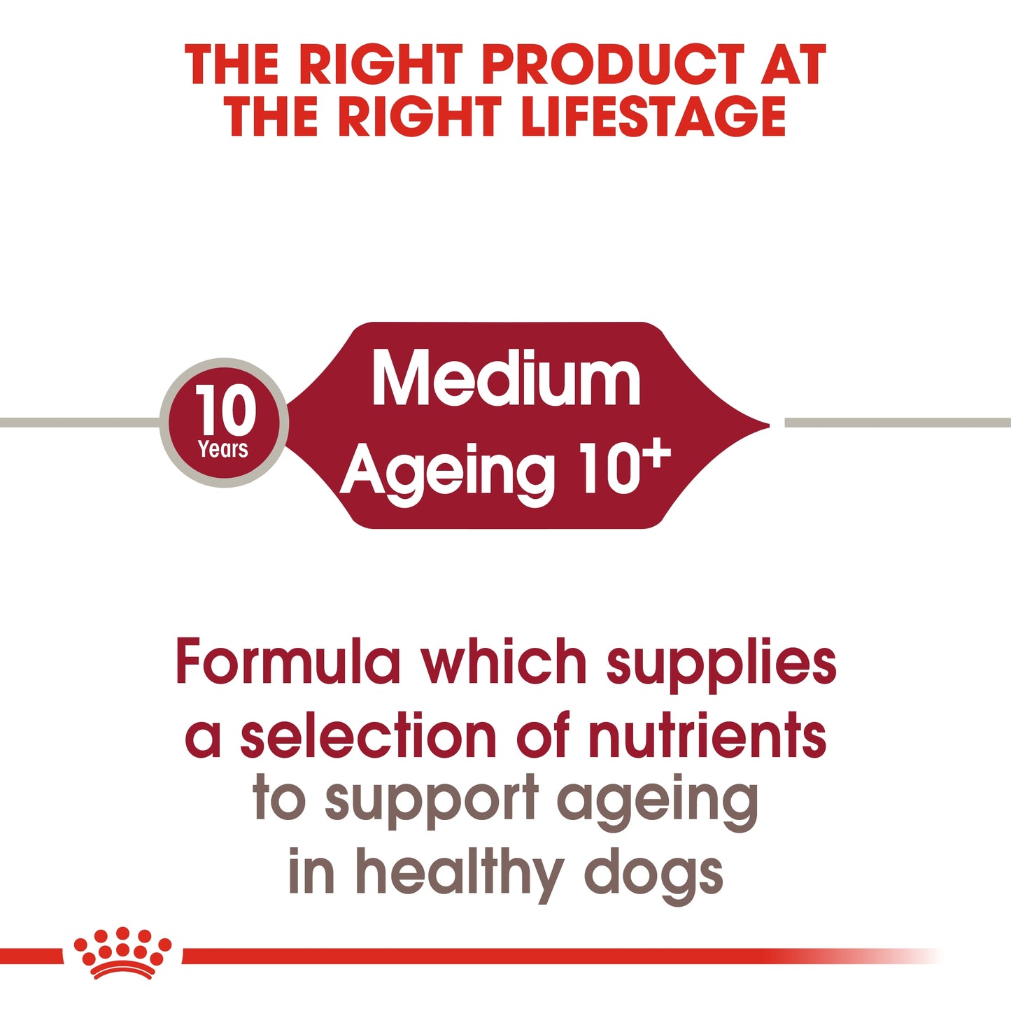 Royal Canin 3 kg Size Health Nutrition Medium Ageing 10+