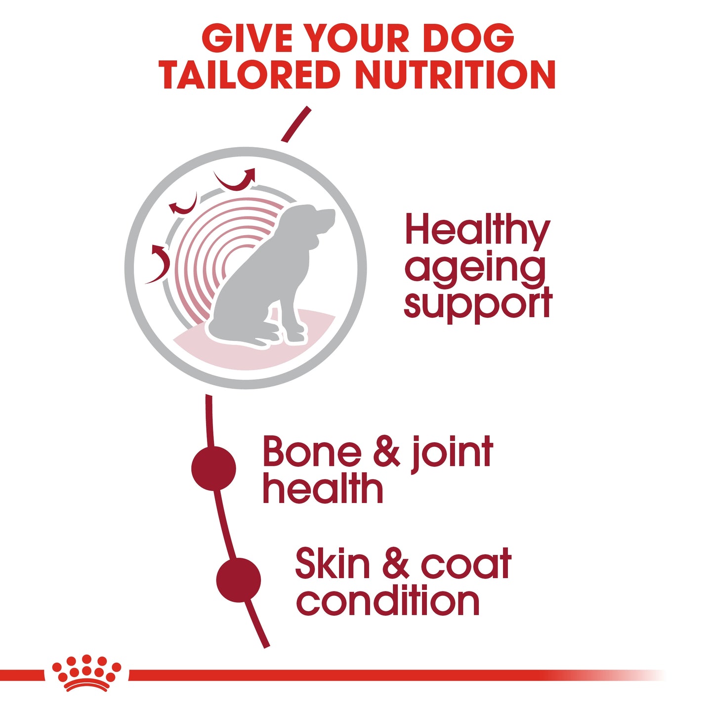 Royal Canin Size Health Nutrition Medium Ageing 10+ 3 kg