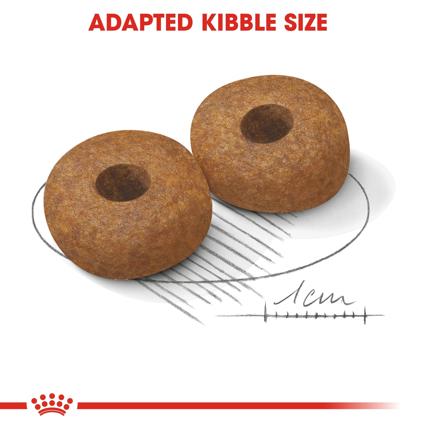 Royal Canin 3 kg Size Health Nutrition Medium Ageing 10+