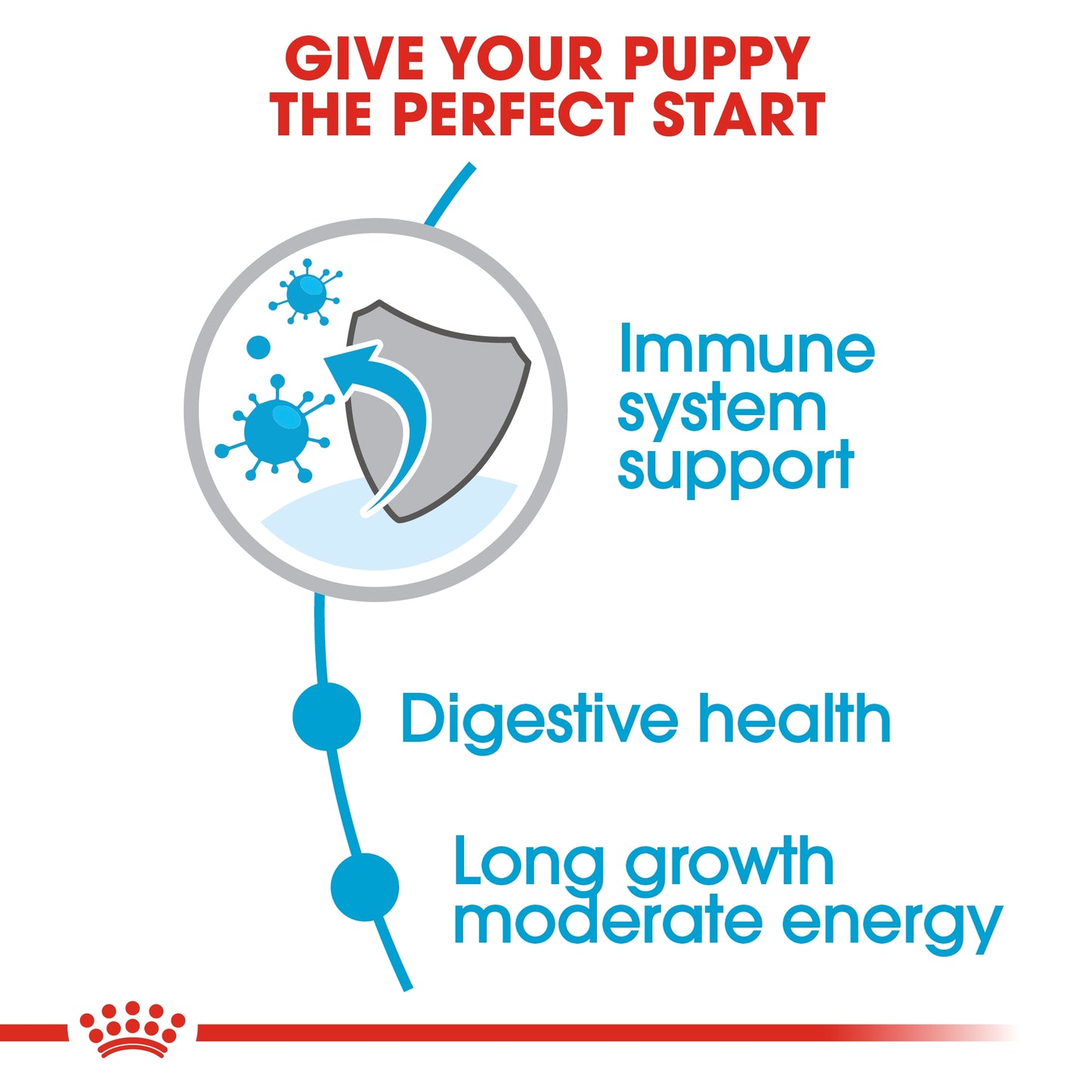 Royal Canin 1 kg Size Health Nutrition Maxi Puppy