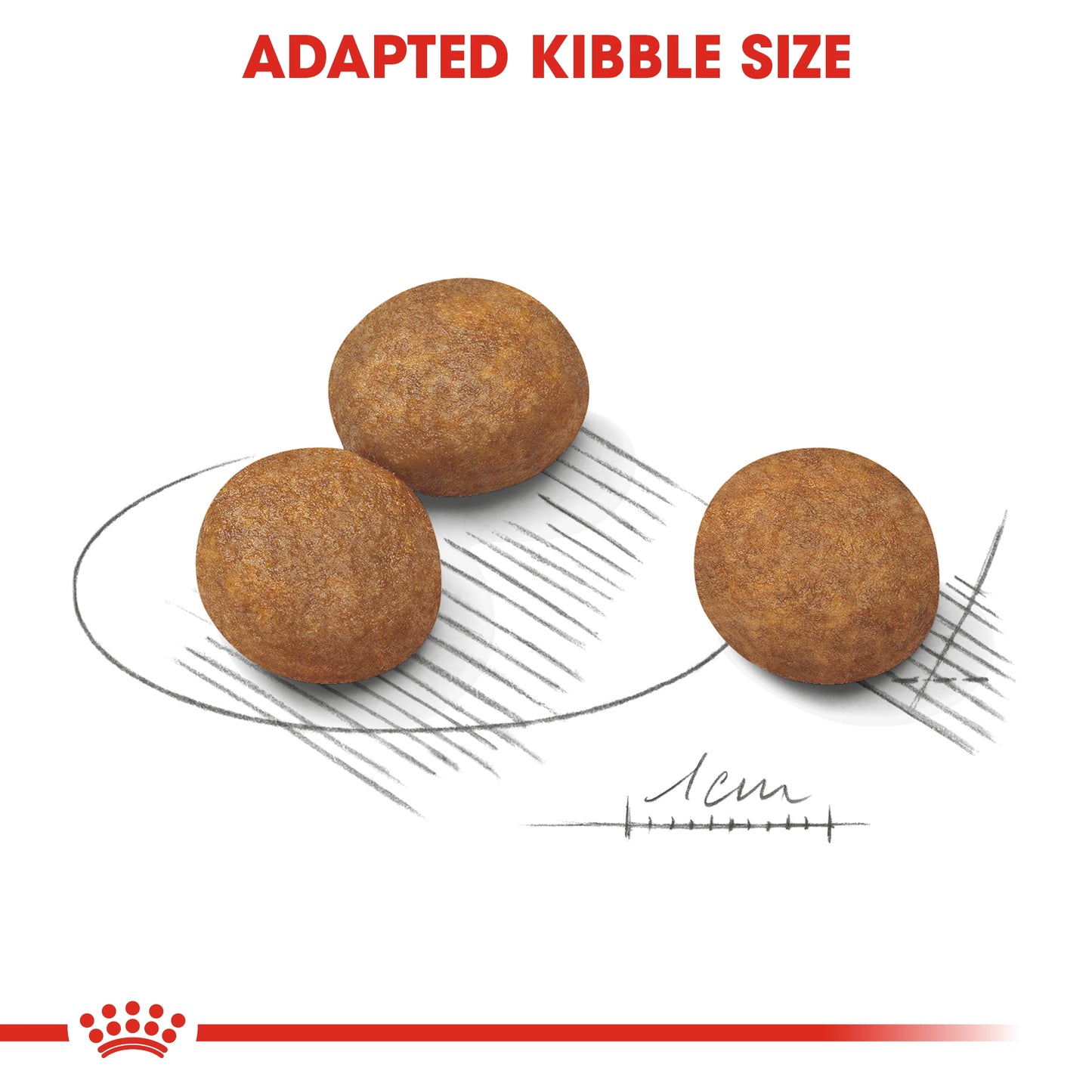 Royal Canin 10 kg Size Health Nutrition Maxi Puppy