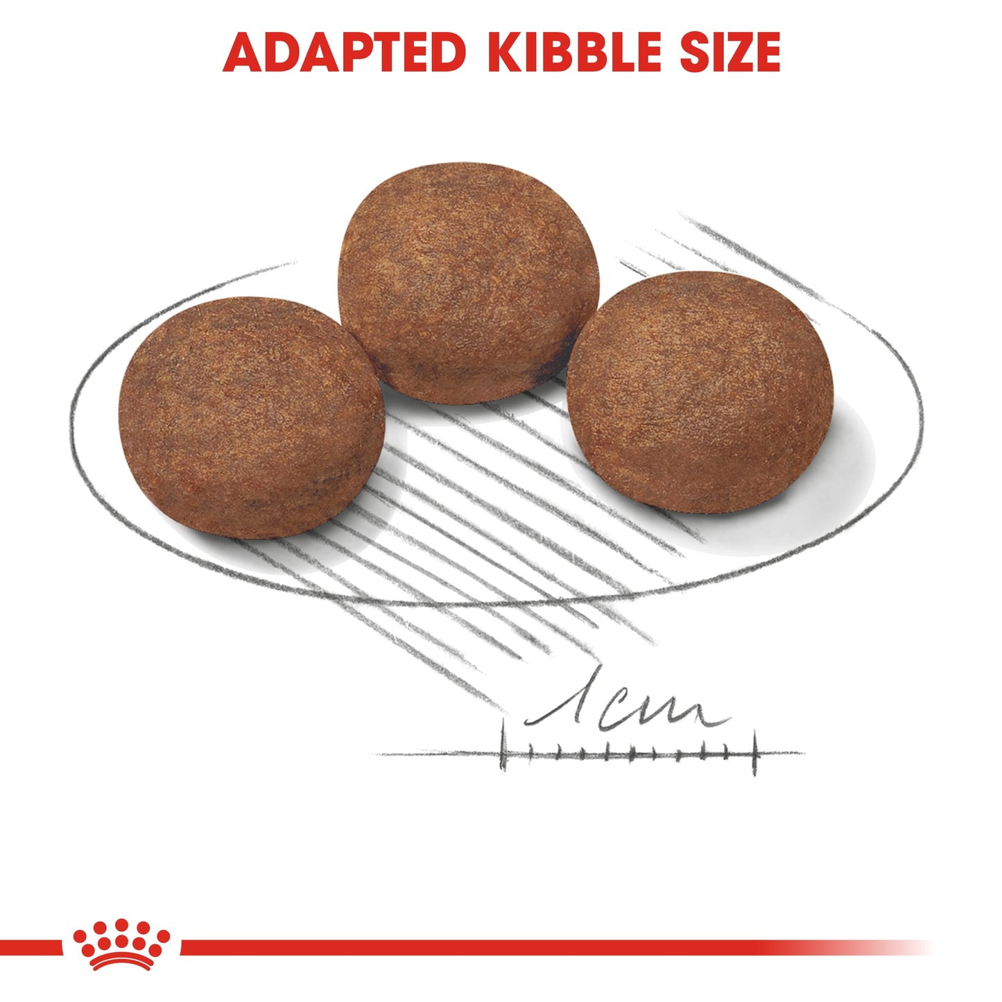 Royal Canin Size Health Nutrition Medium Puppy 10 kg