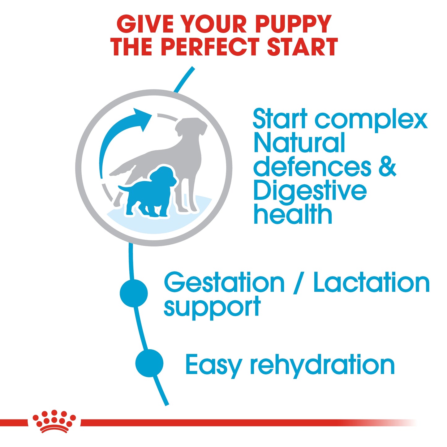 Royal Canin 4 kg Size Health Nutrition Medium Starter