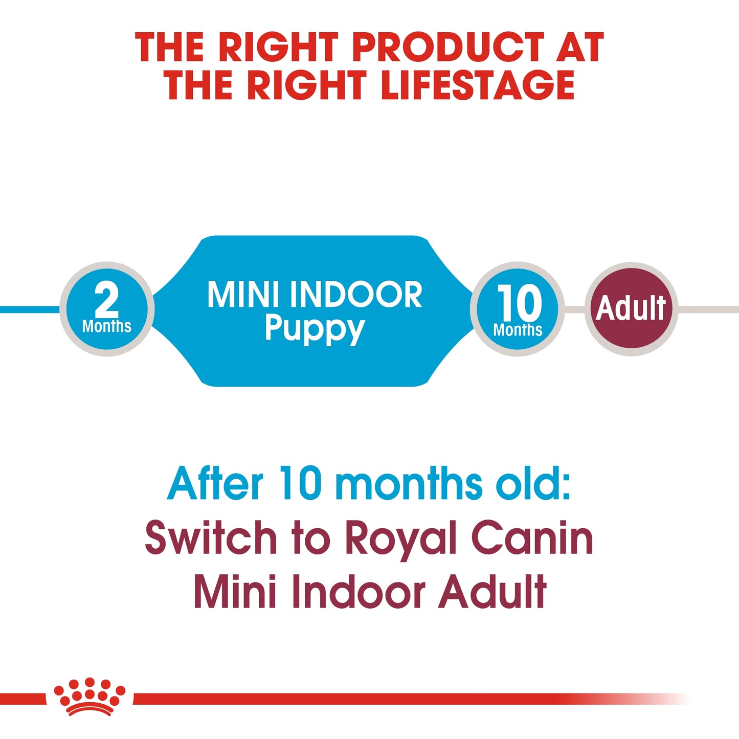Royal Canin 1.5 kg Size Health Nutrition Mini Indoor Puppy